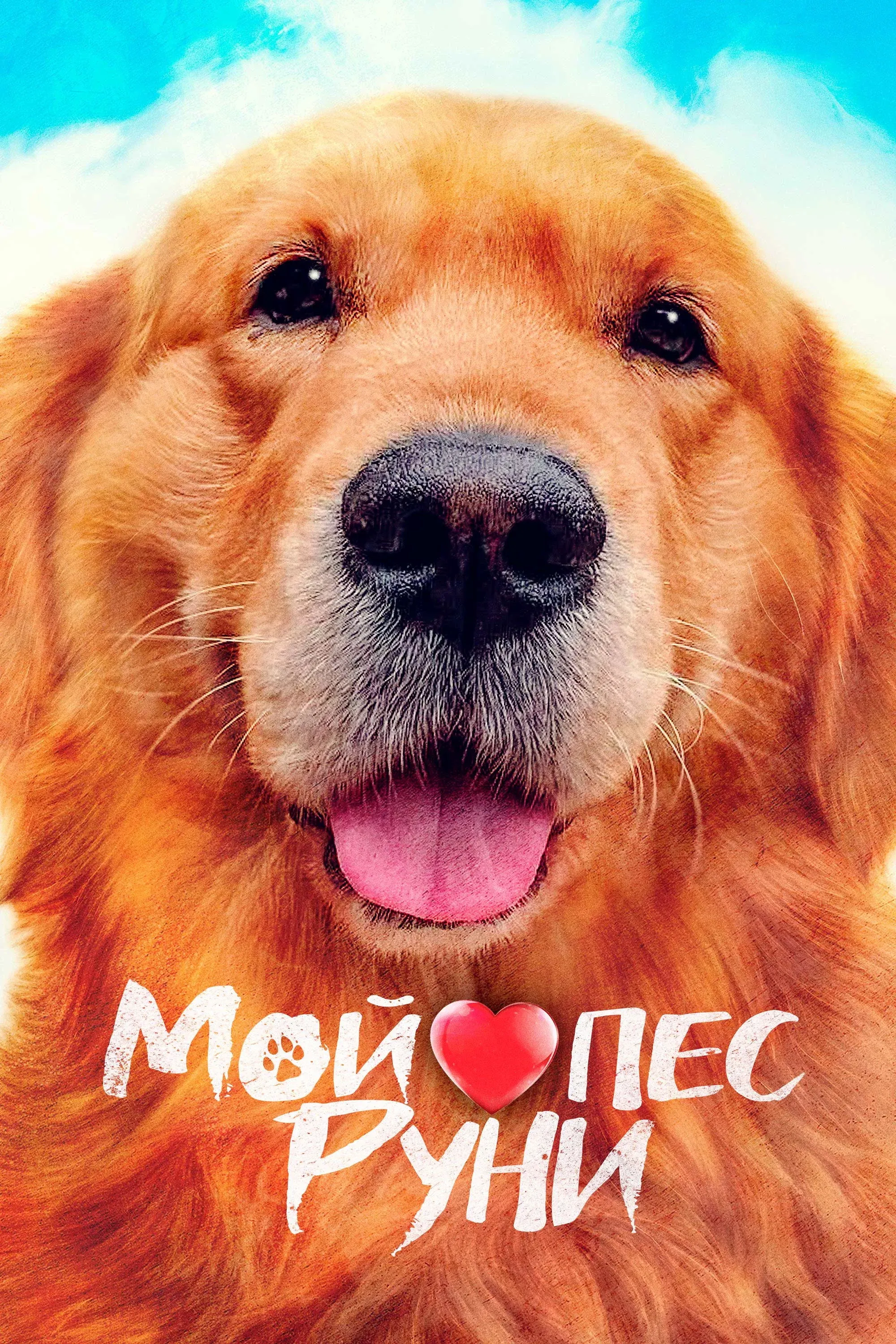 Постер фильма Мой пёс Руни