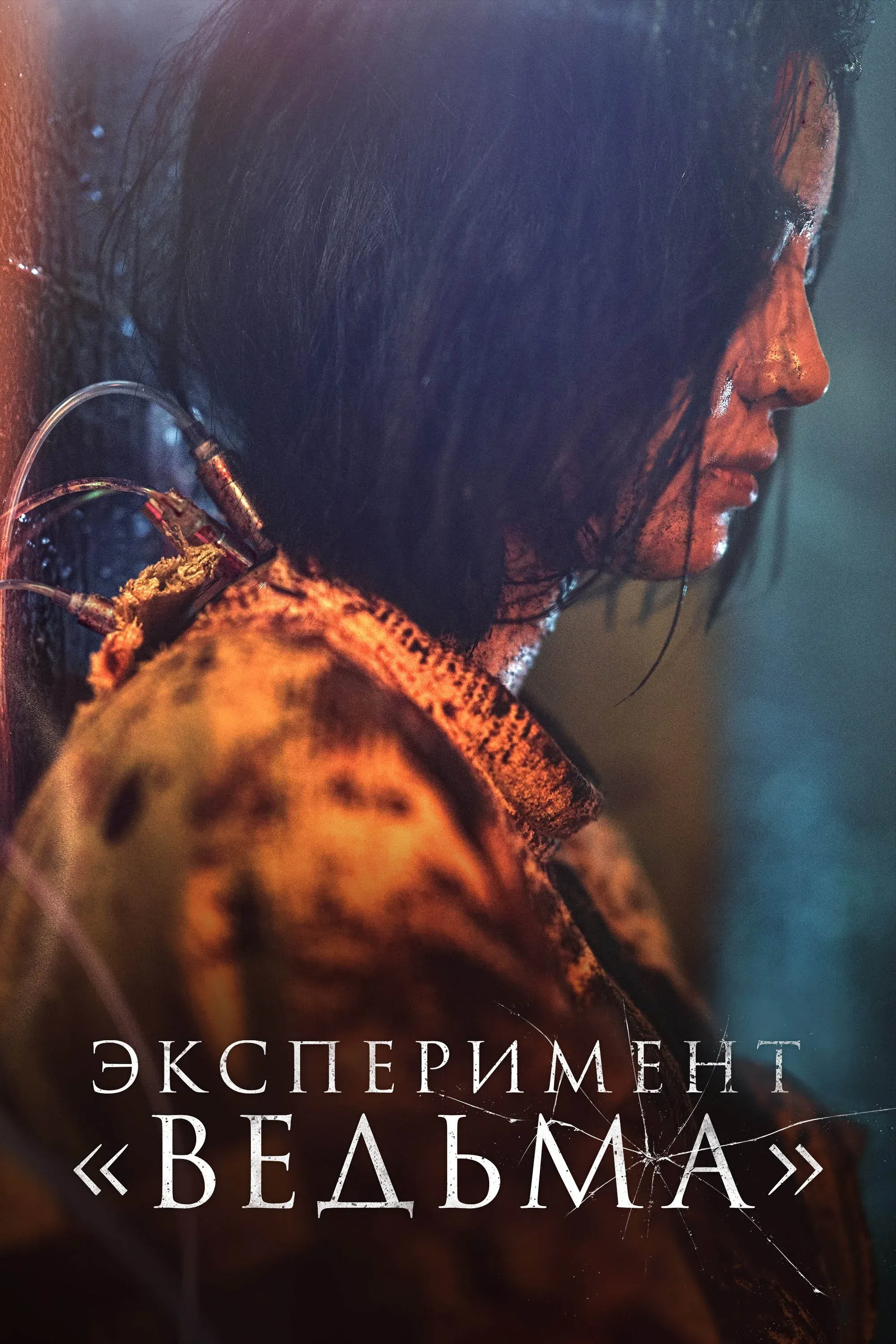 Постер фильма Эксперимент «Ведьма»