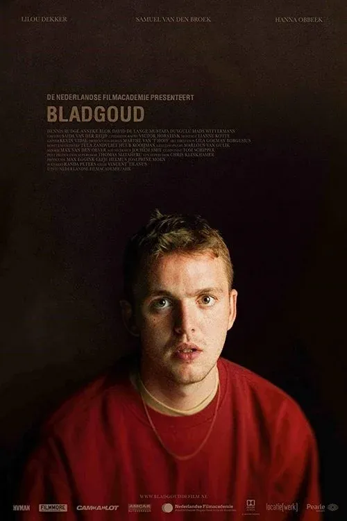 Постер фильма Позолота