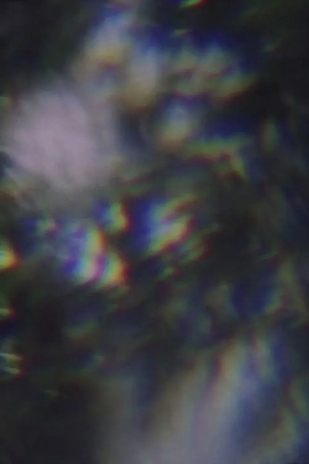 Постер фильма Дерево как человек