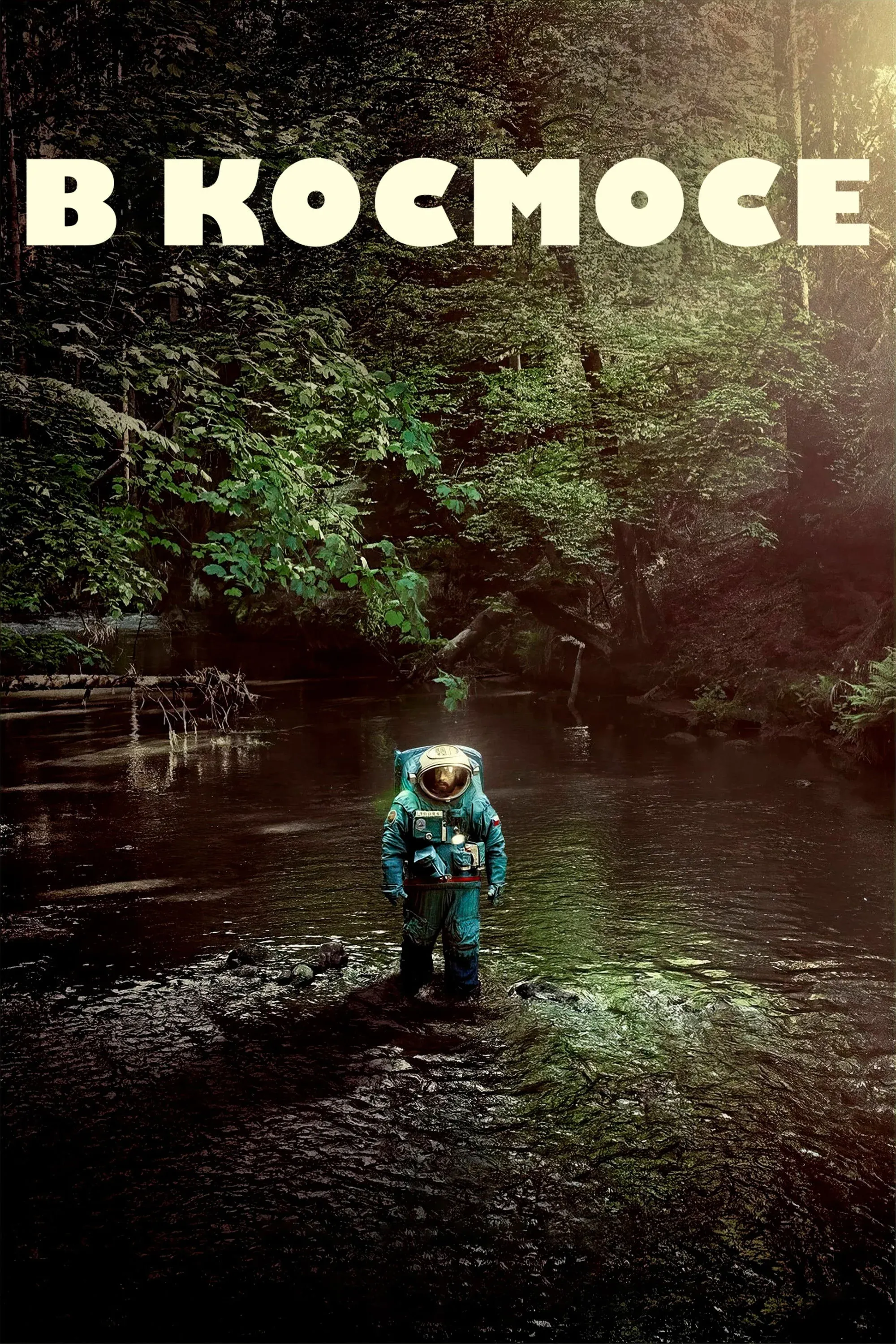 Постер фильма В космосе