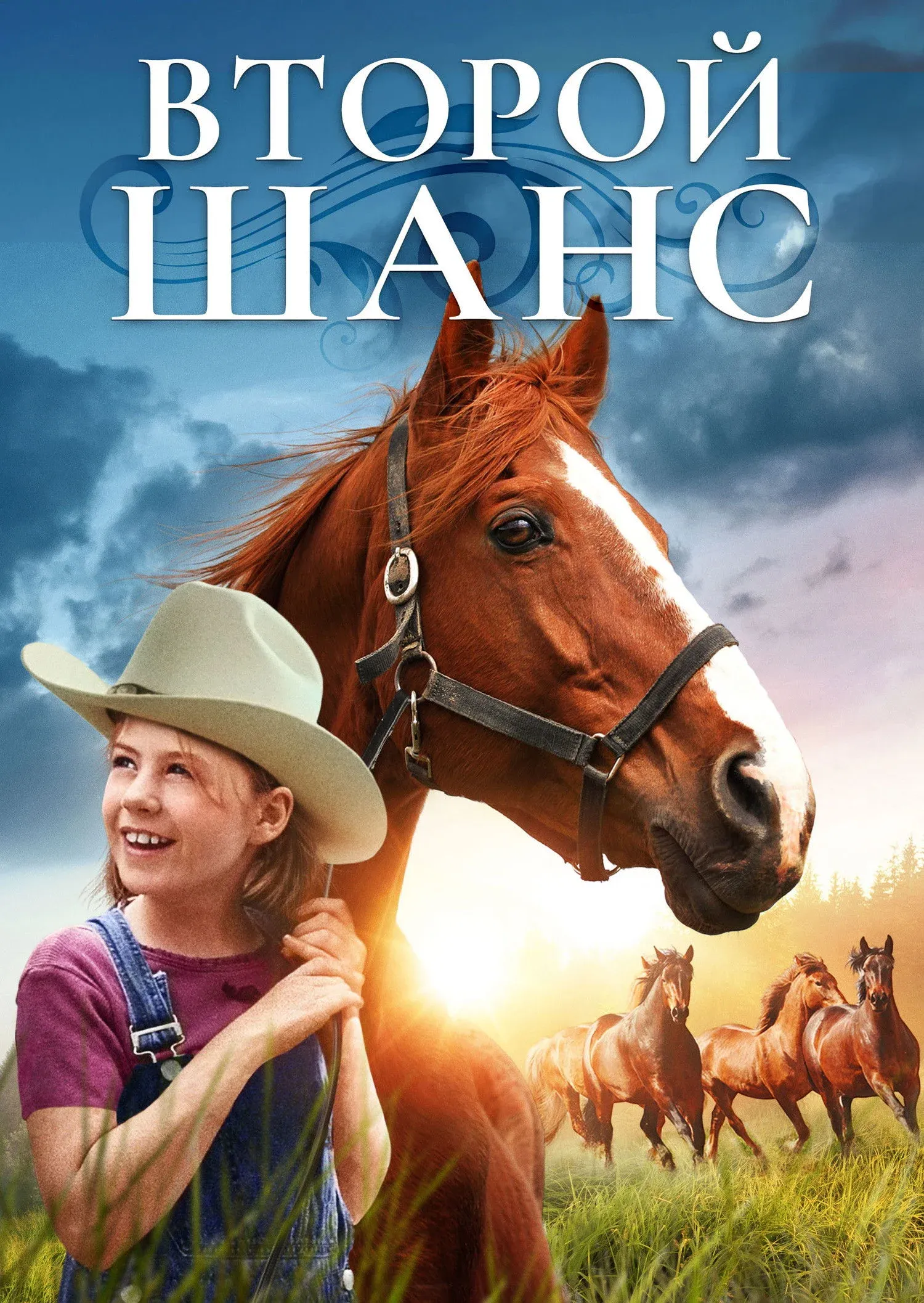 Постер фильма Второй шанс