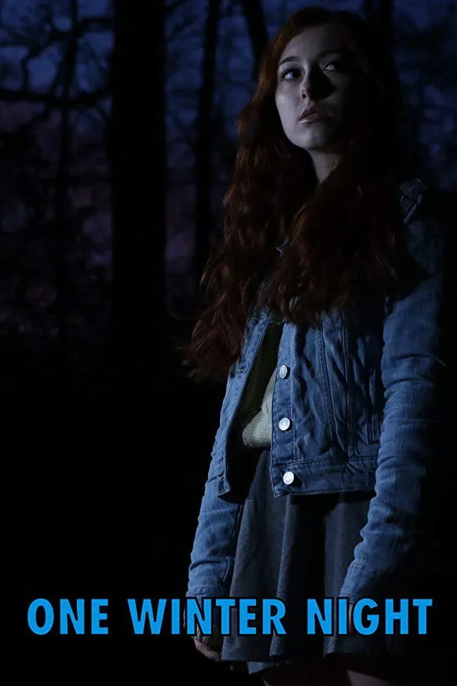 Постер фильма Однажды зимней ночью