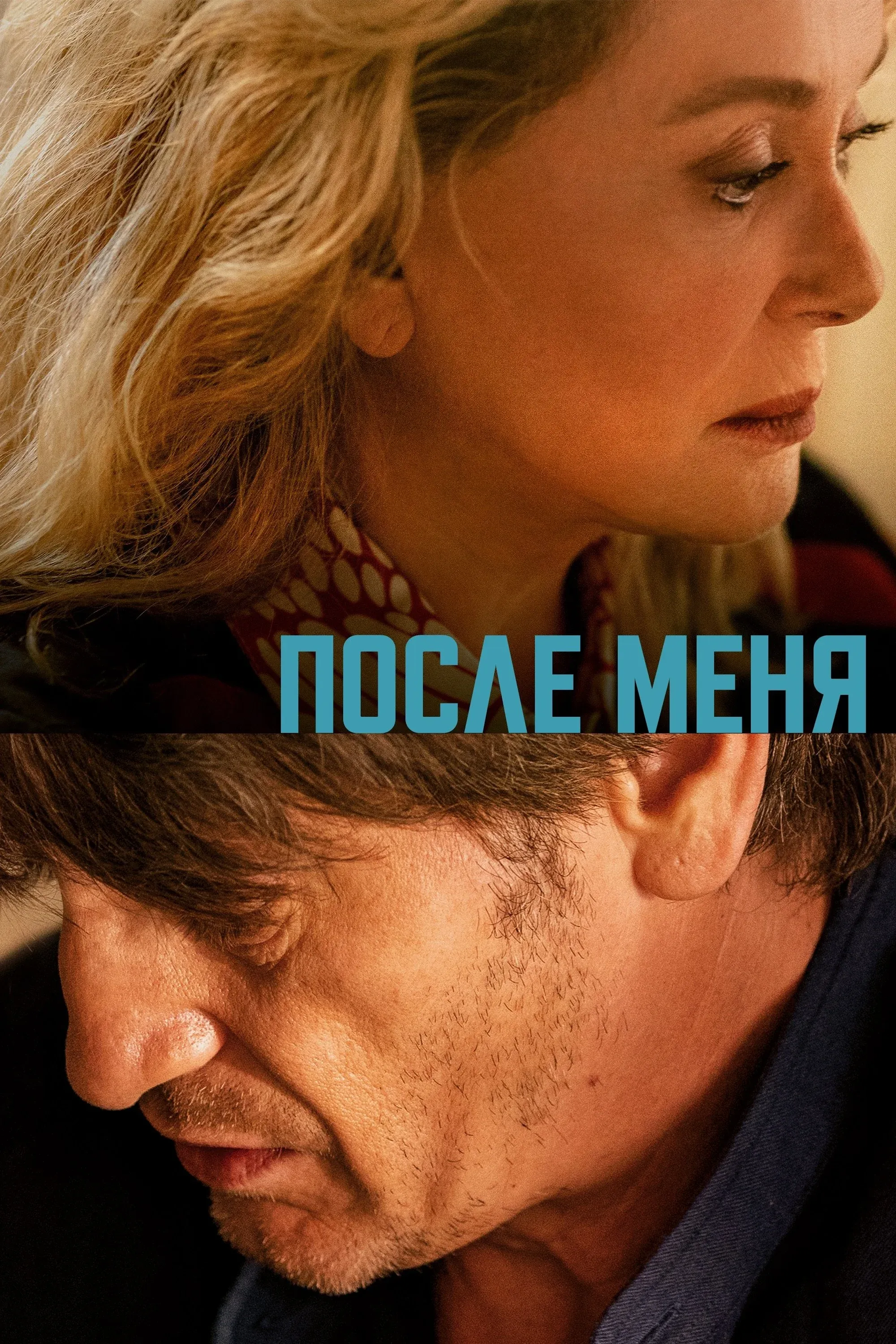 Постер фильма После меня
