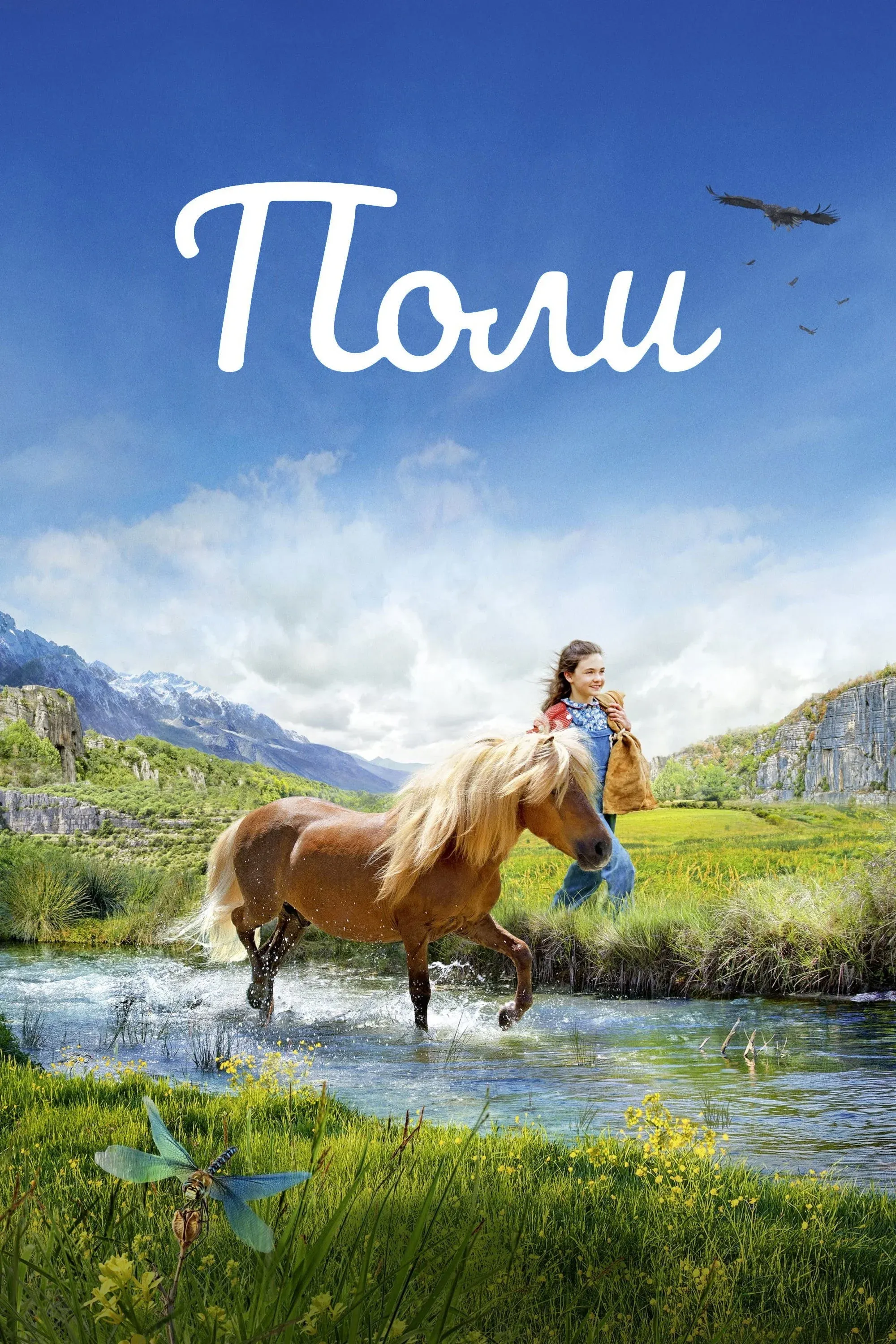 Постер фильма Поли