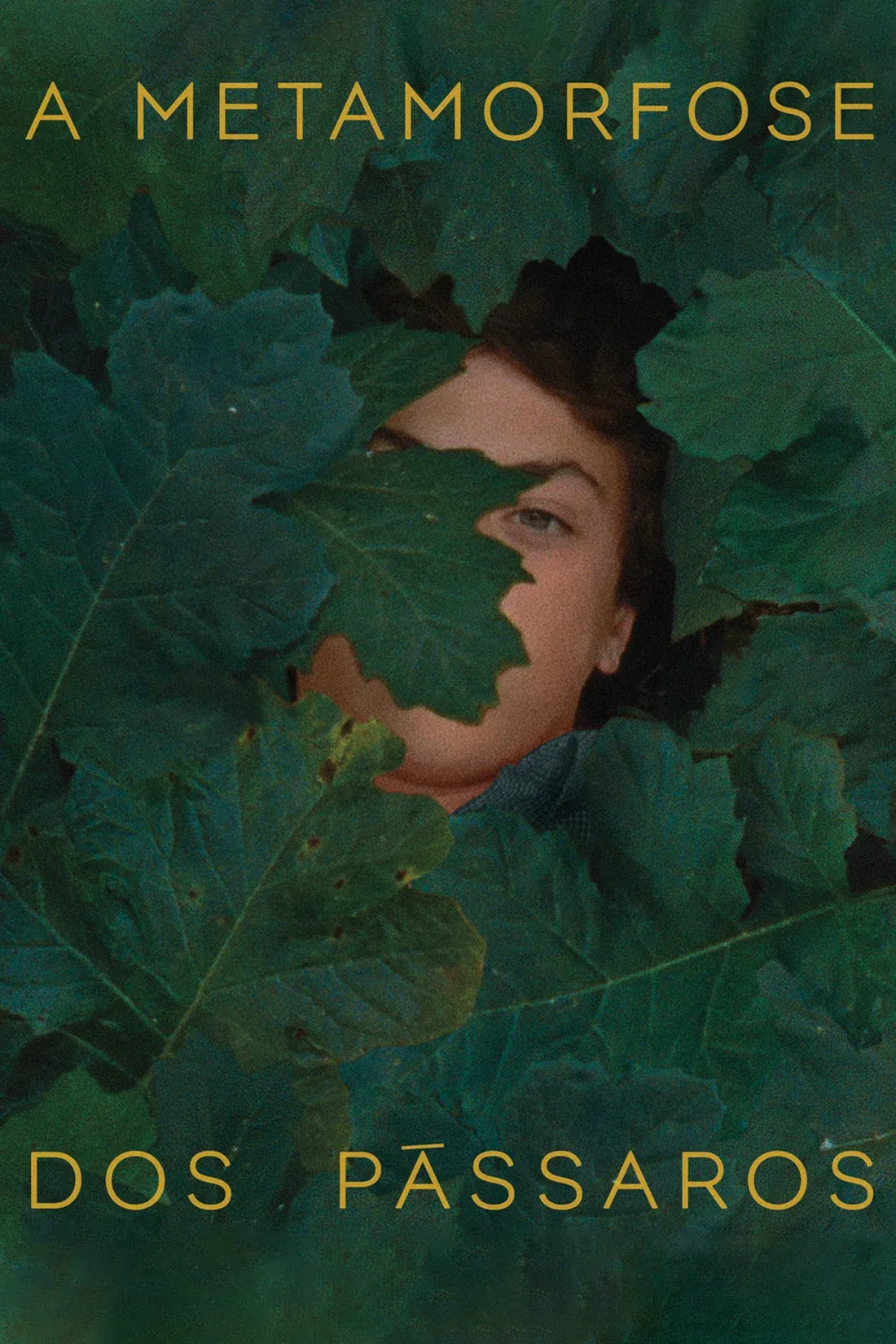 Постер фильма Метаморфоза птиц