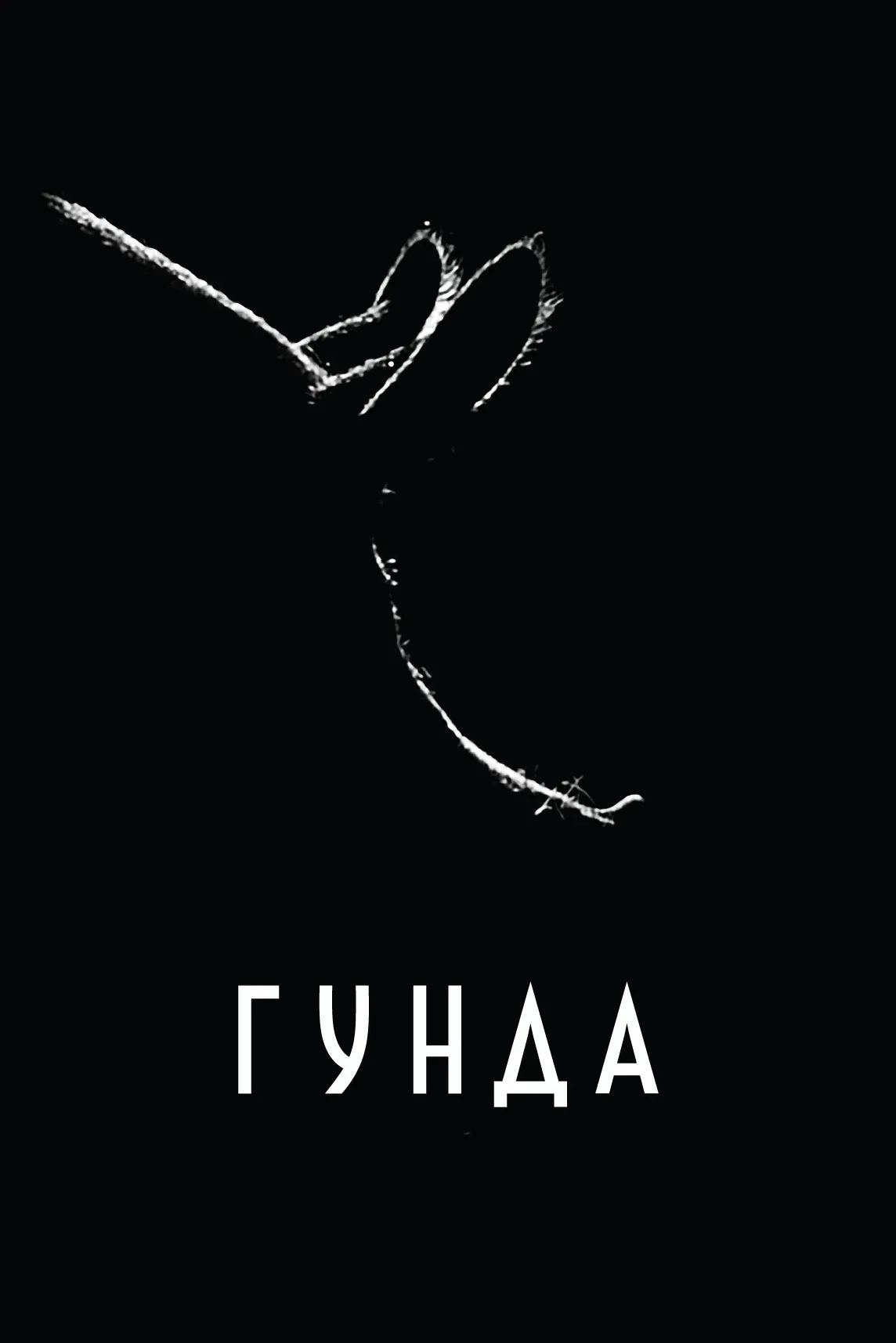 Постер фильма Гунда