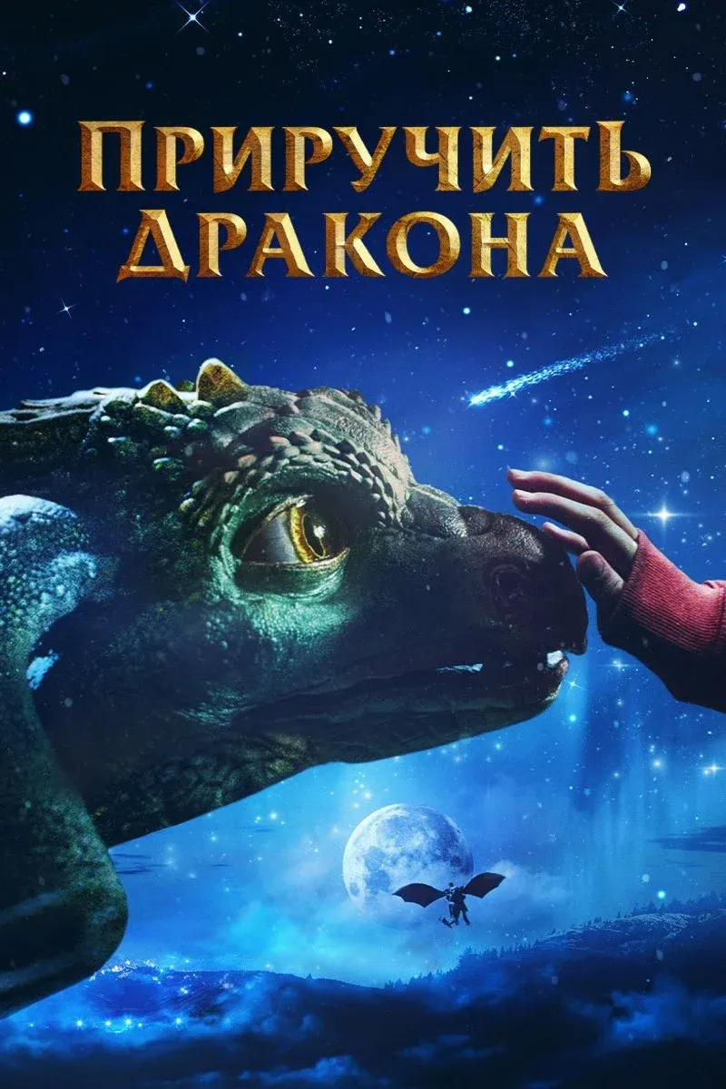 Постер фильма Приручить дракона