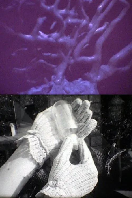 Постер фильма Ее* руки и его формы