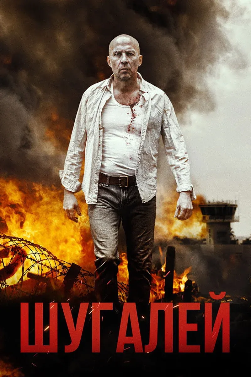 Постер фильма Шугалей