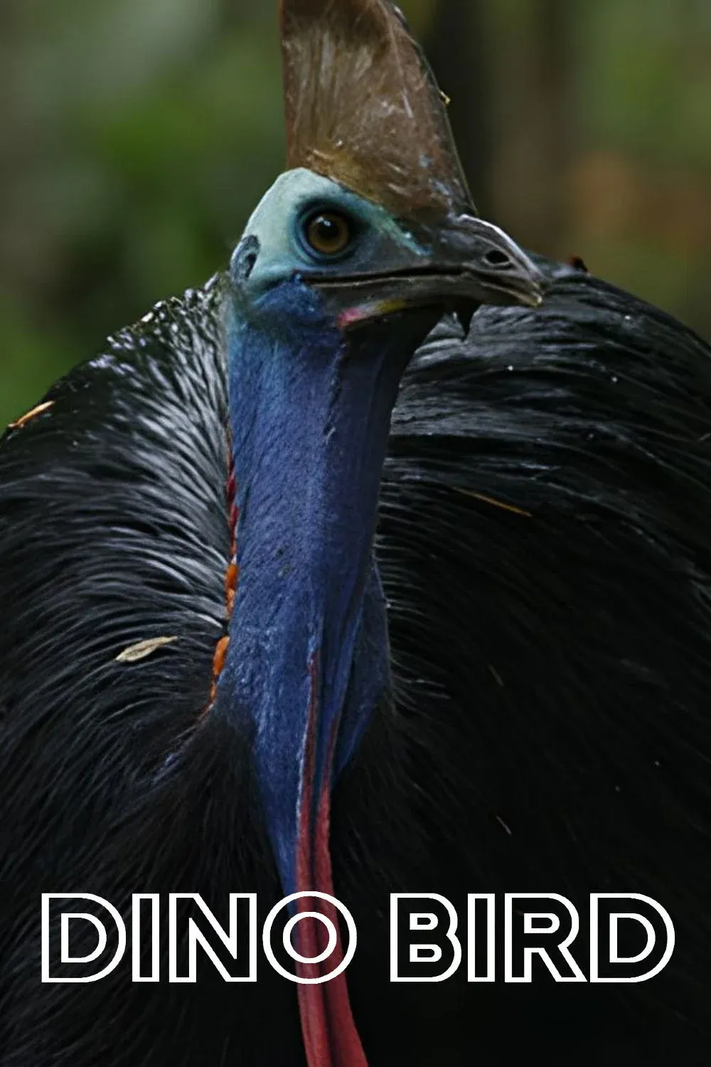 Постер фильма Птица-динозавр