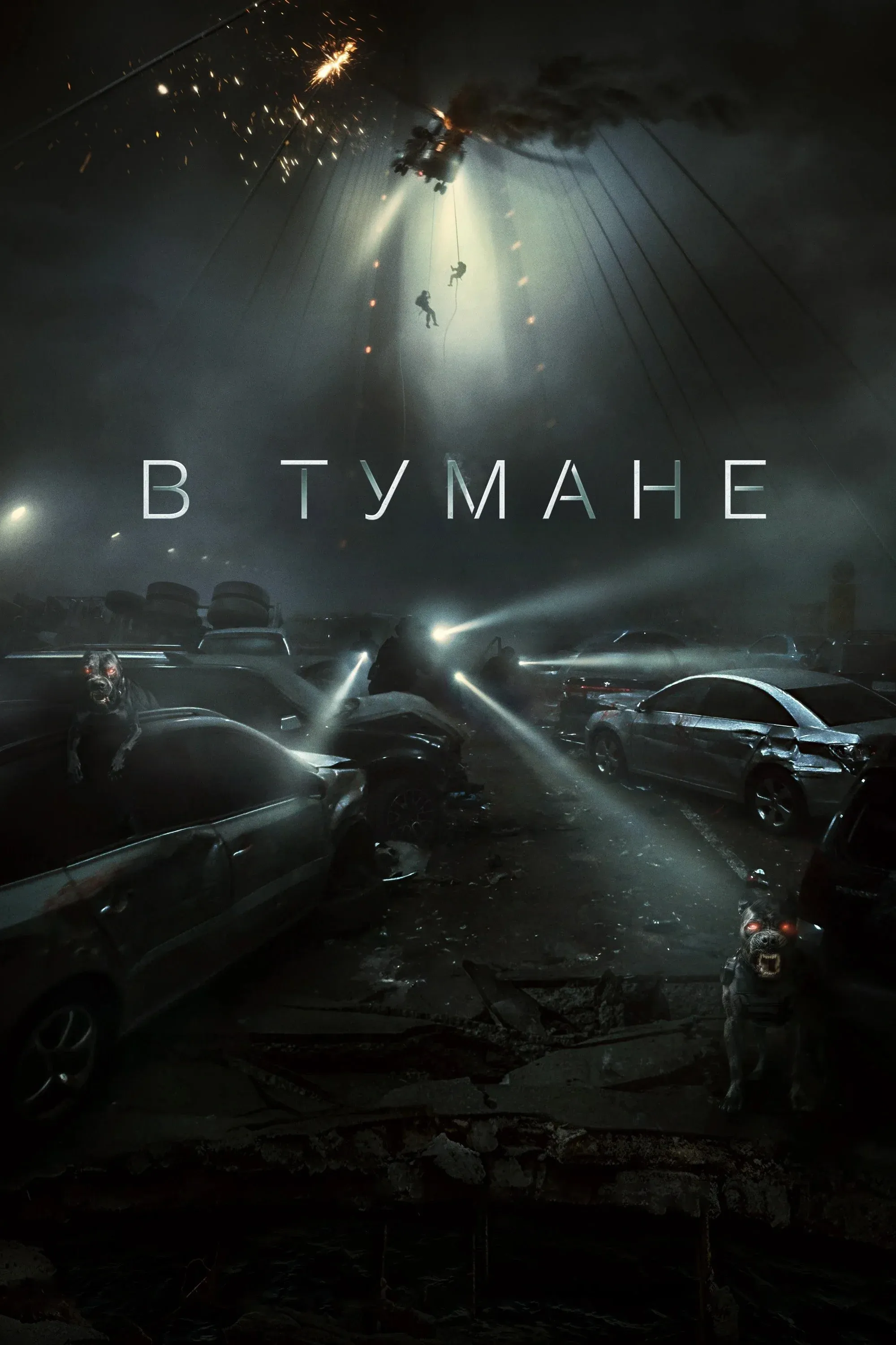 Постер фильма В тумане