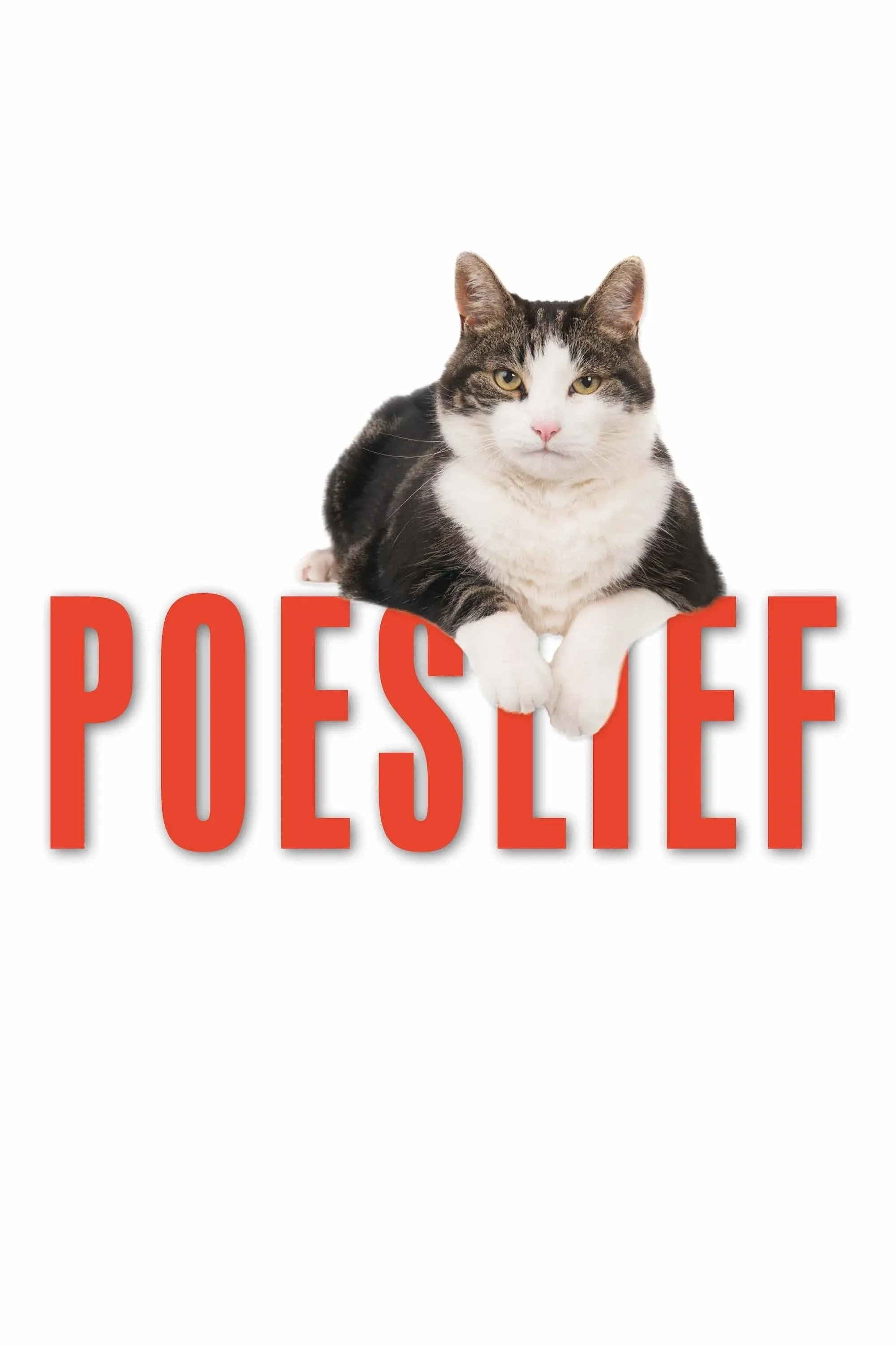 Постер фильма Да здравствуют кошки!