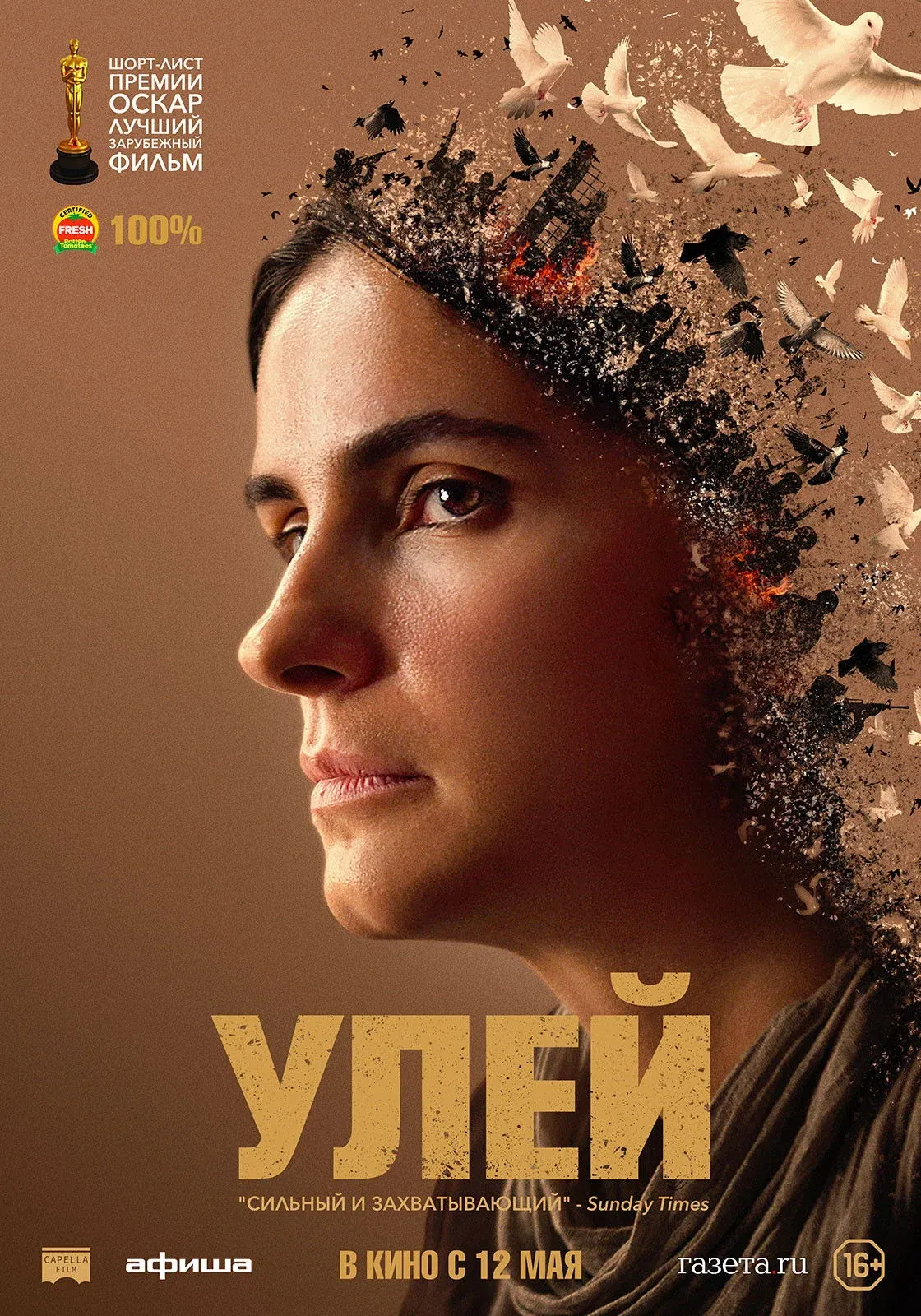 Постер фильма Улей