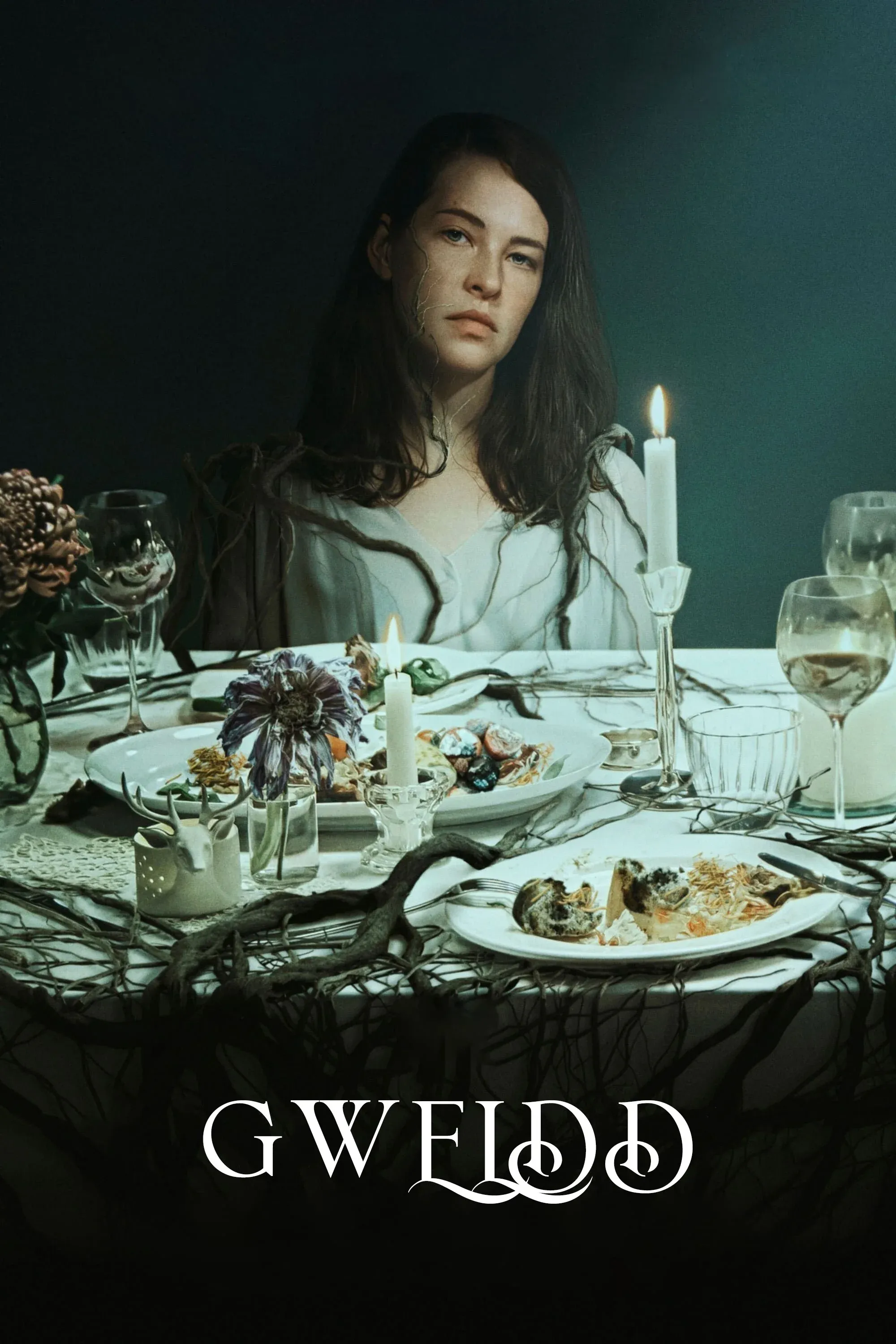 Постер фильма Пир