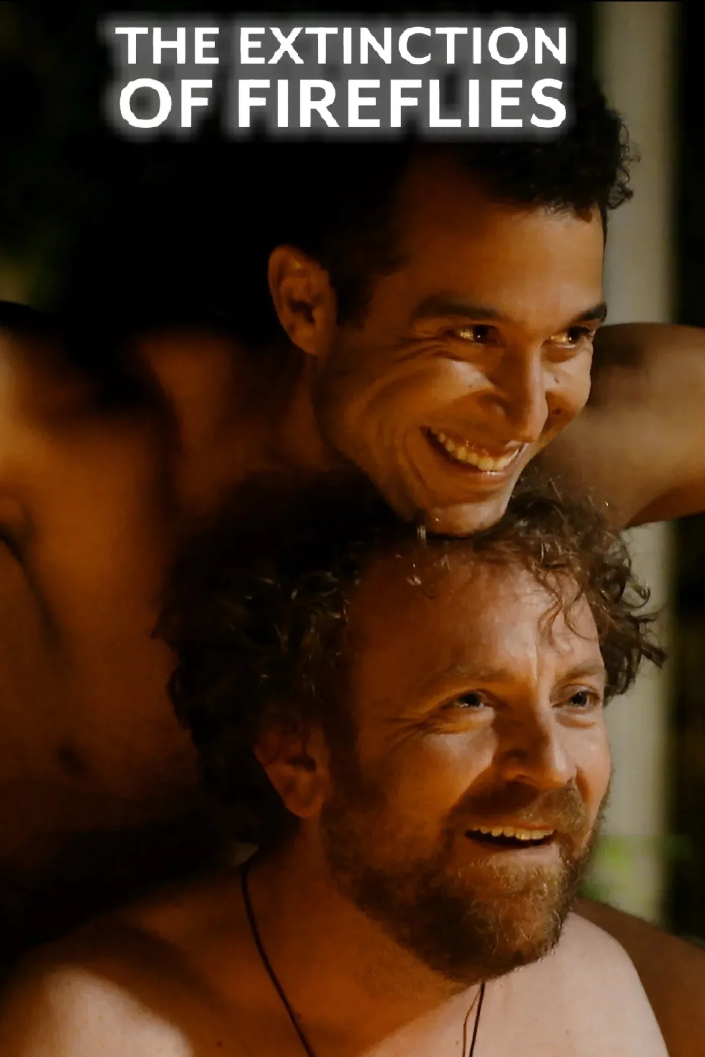 Постер фильма Исчезновение светлячков