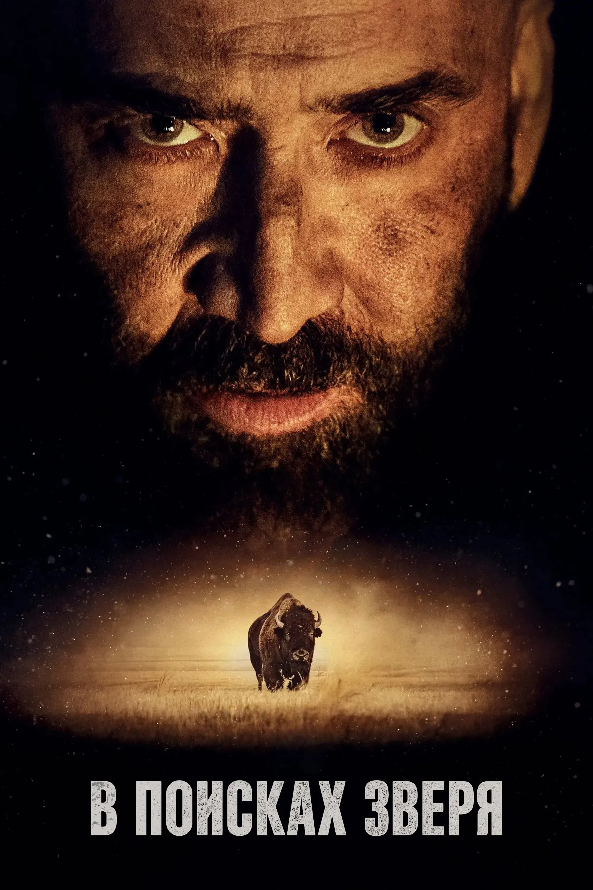 Постер фильма В поисках зверя