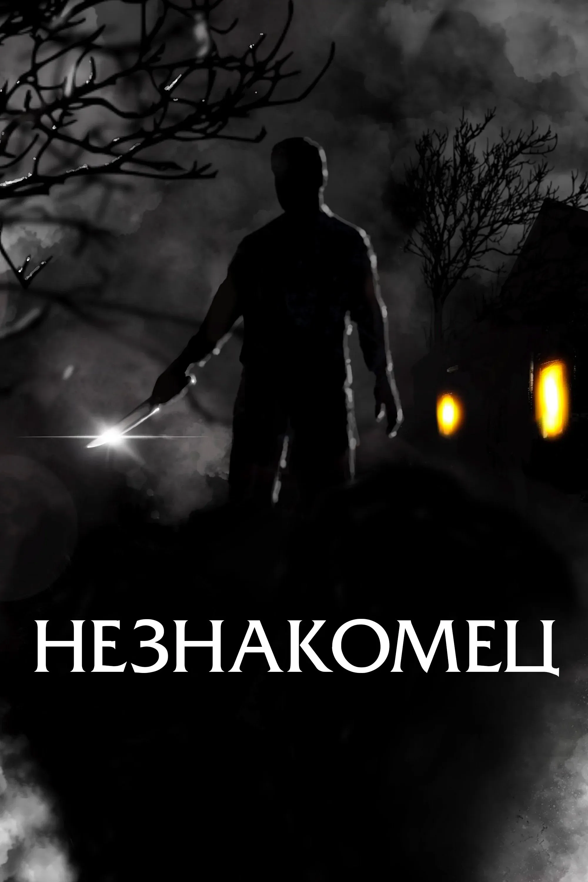 Постер фильма Незнакомец