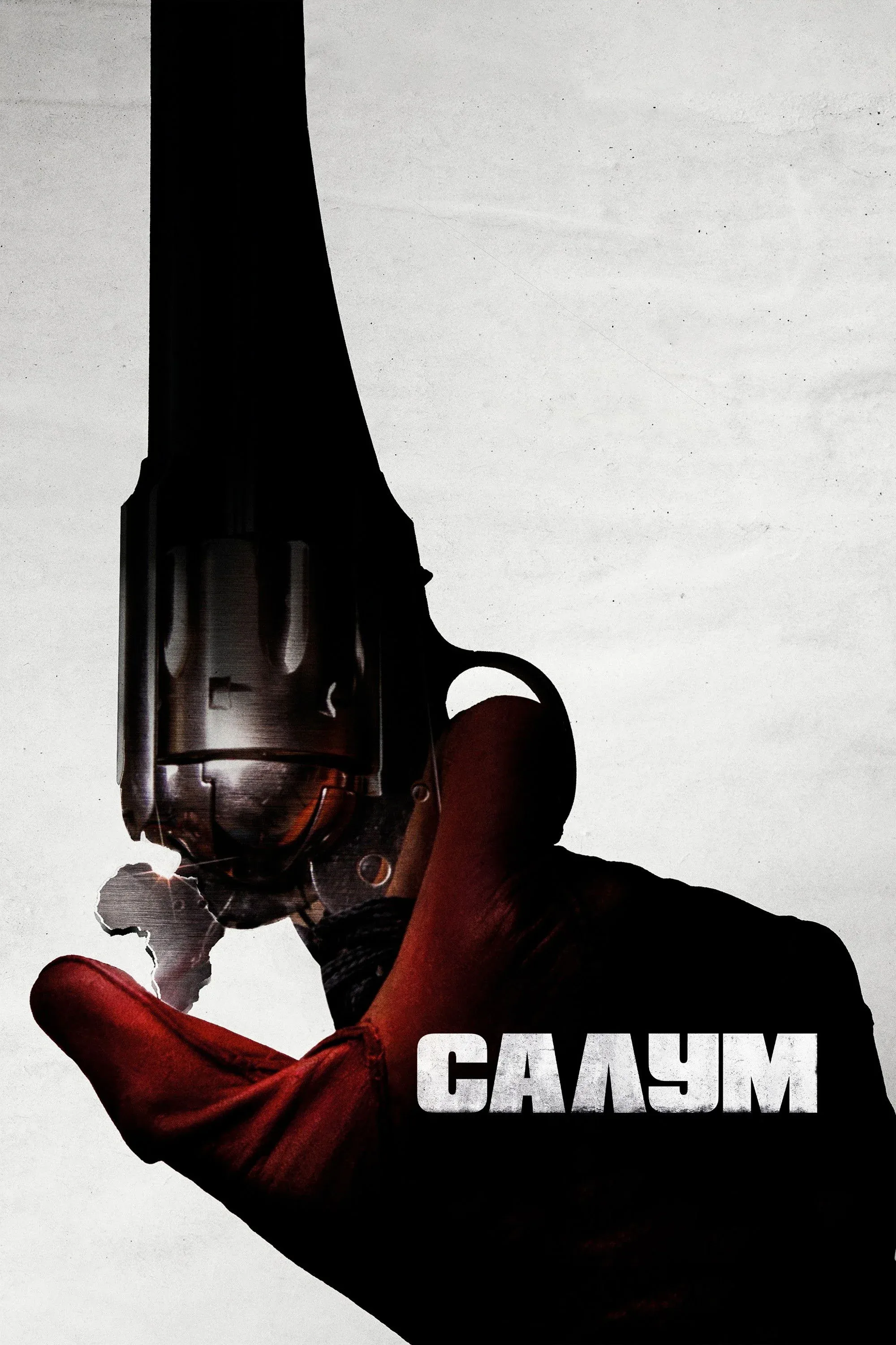 Постер фильма Салум