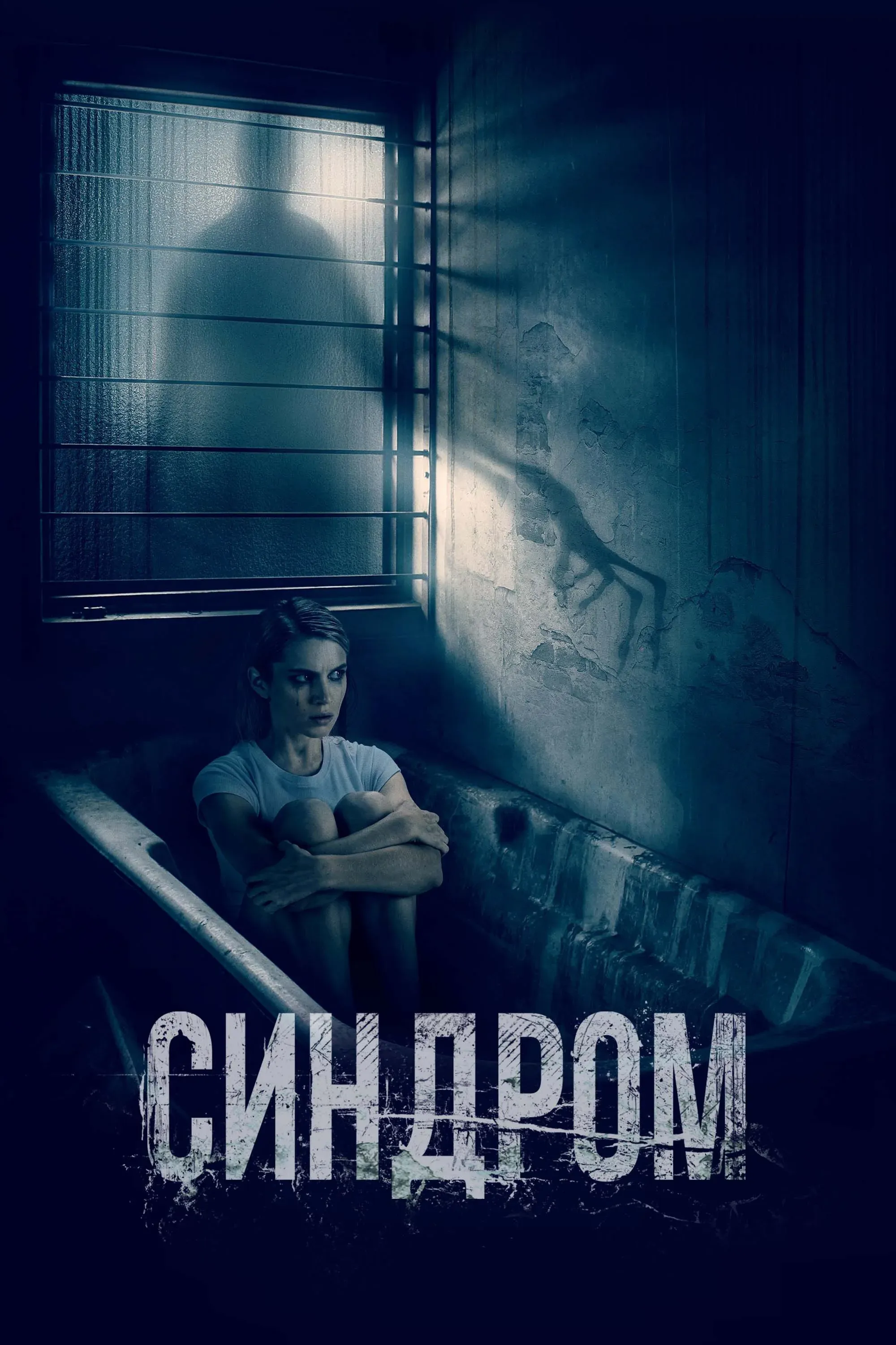 Постер фильма Синдром