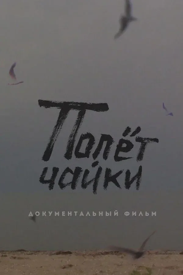 Постер фильма Полёт чайки