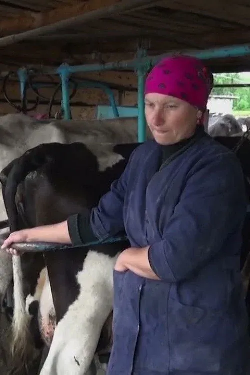 Постер фильма После потопа