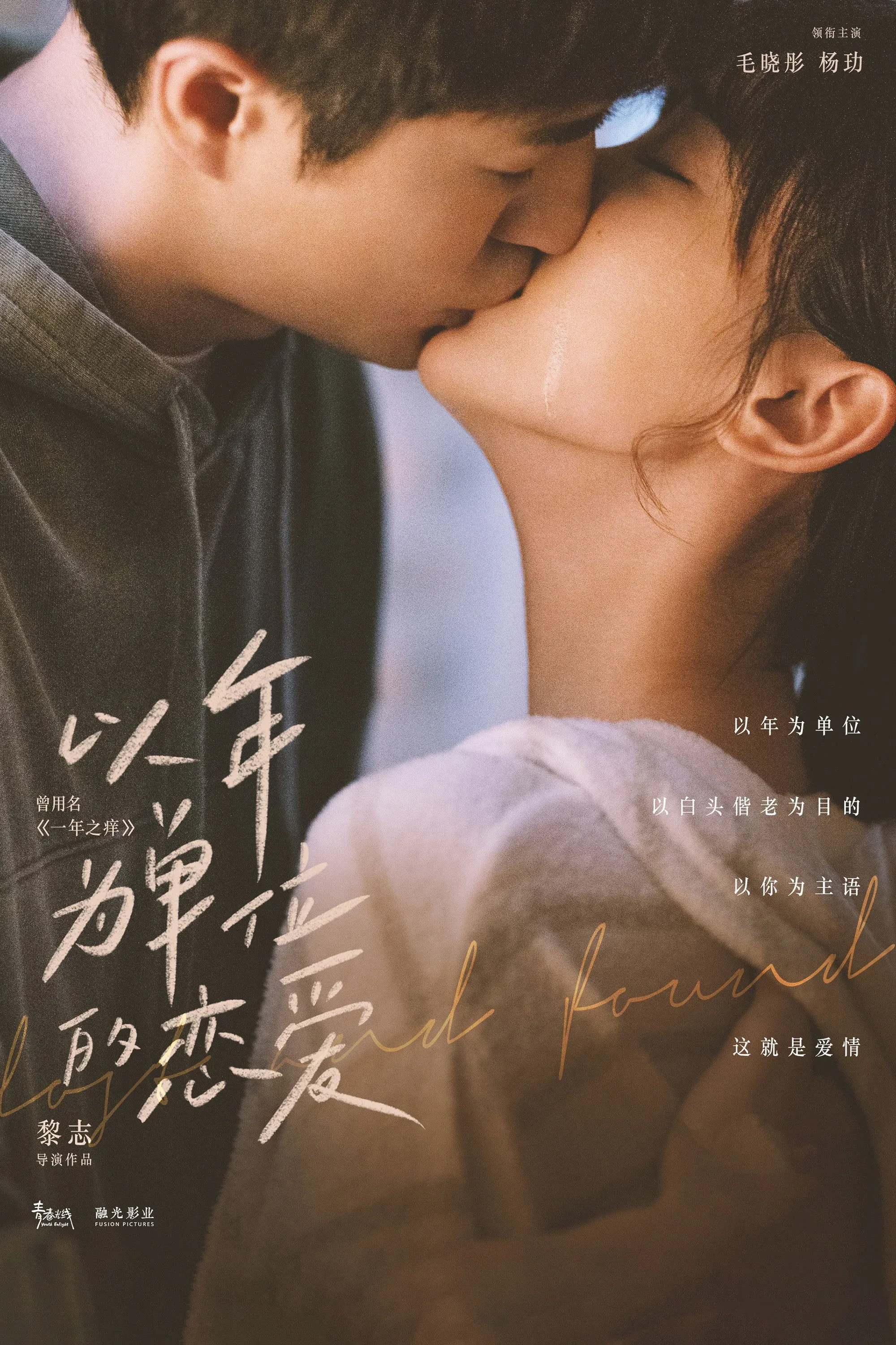 Постер фильма Потерять и найти