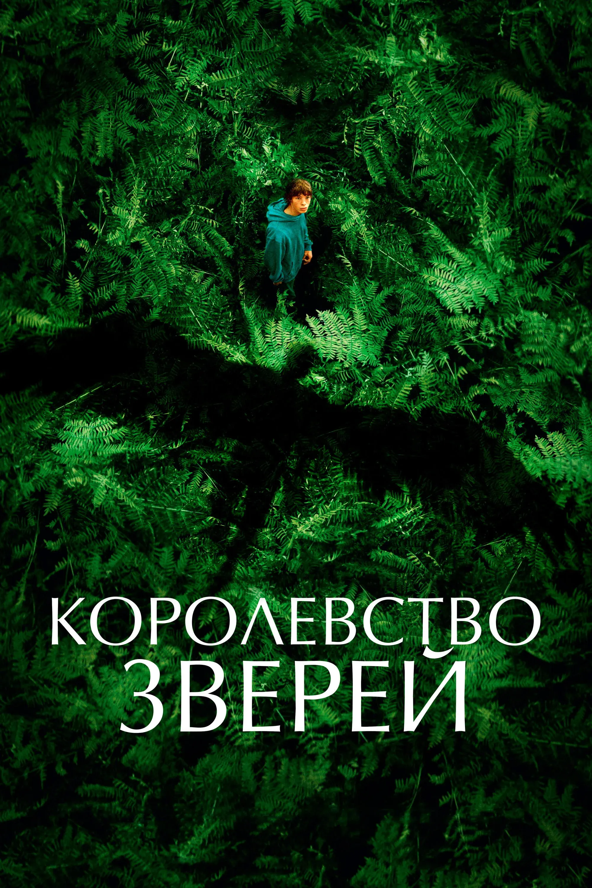 Постер фильма Королевство зверей