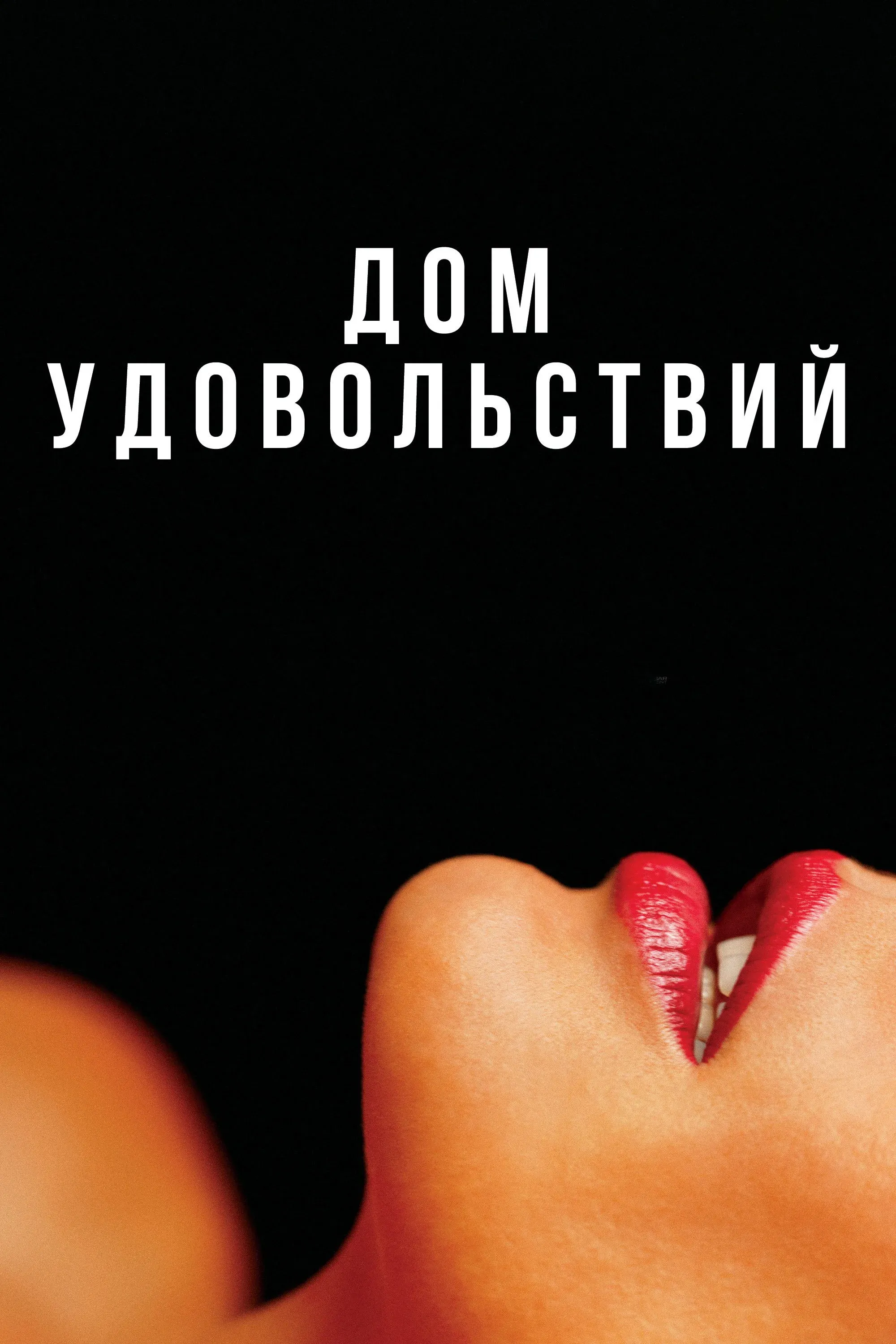 Постер фильма Дом удовольствий