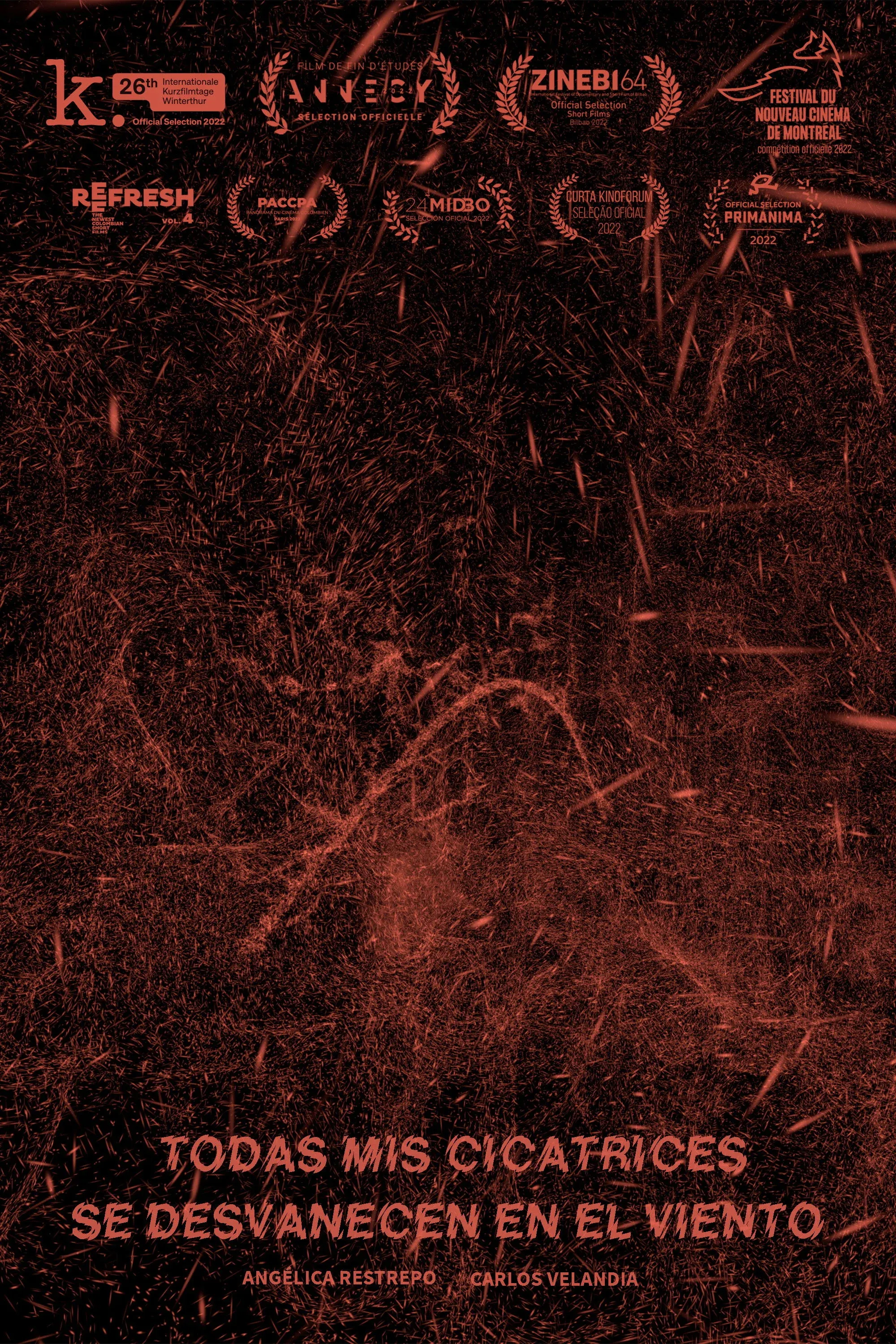 Постер фильма Все мои шрамы уносит ветер