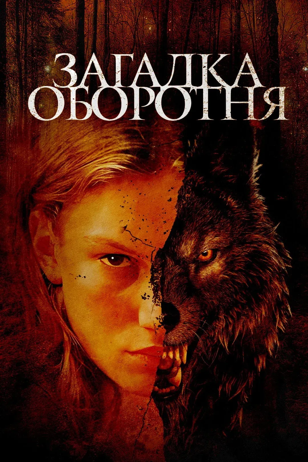 Постер фильма Загадка оборотня