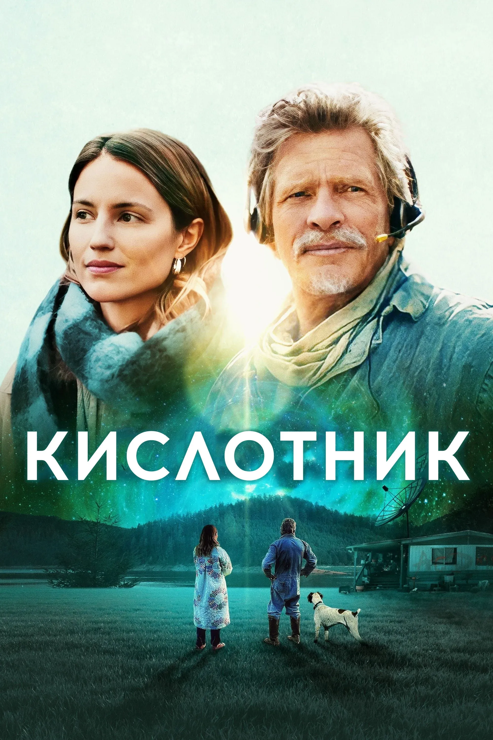 Постер фильма Кислотник