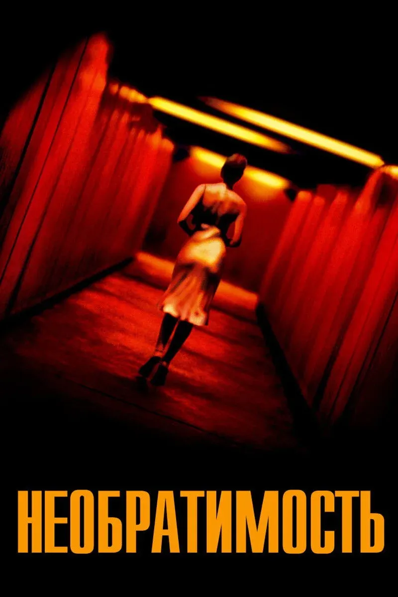 Постер фильма Необратимость