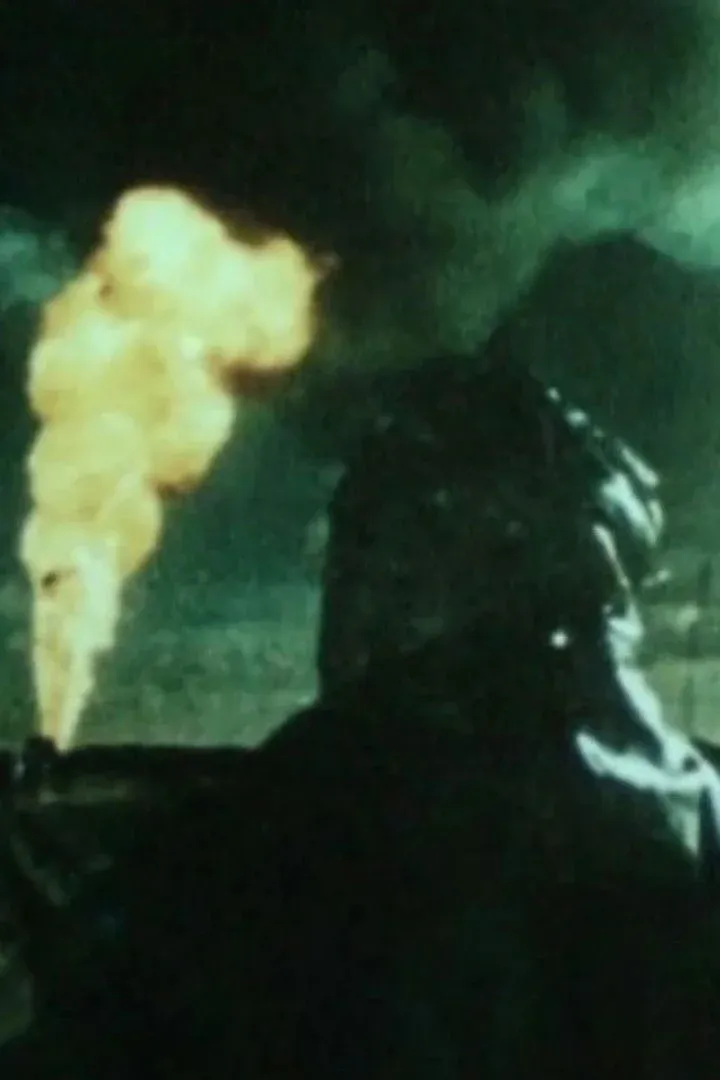 Постер фильма Сцены у фонтана