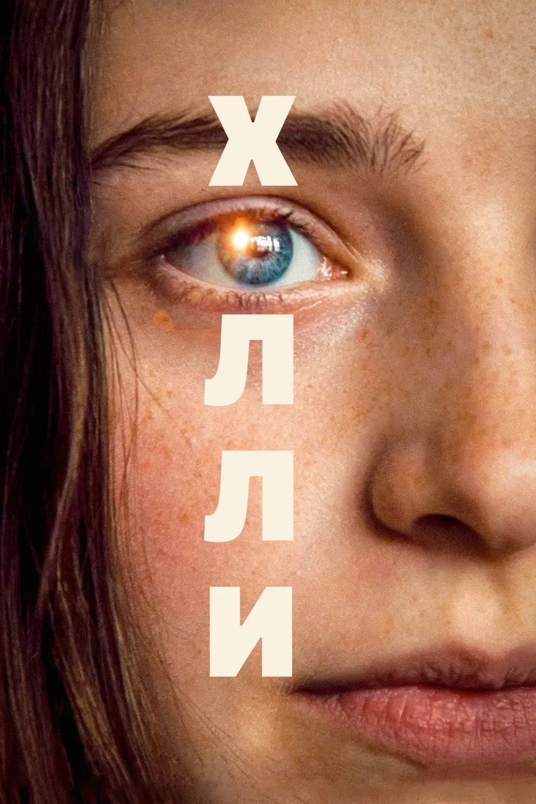 Постер фильма Холли