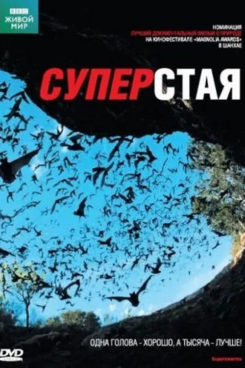 Постер фильма Суперстая