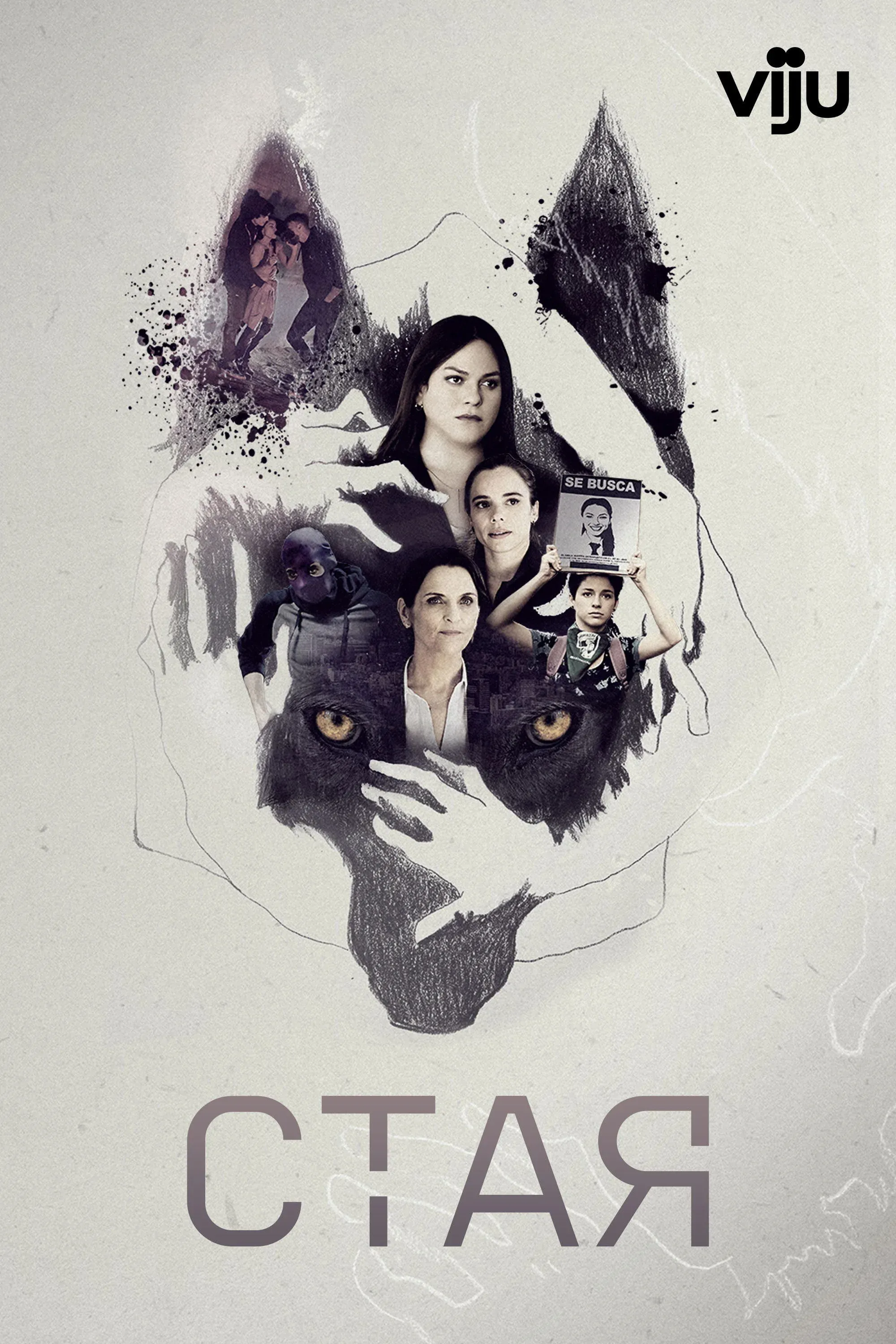 Постер фильма Стая