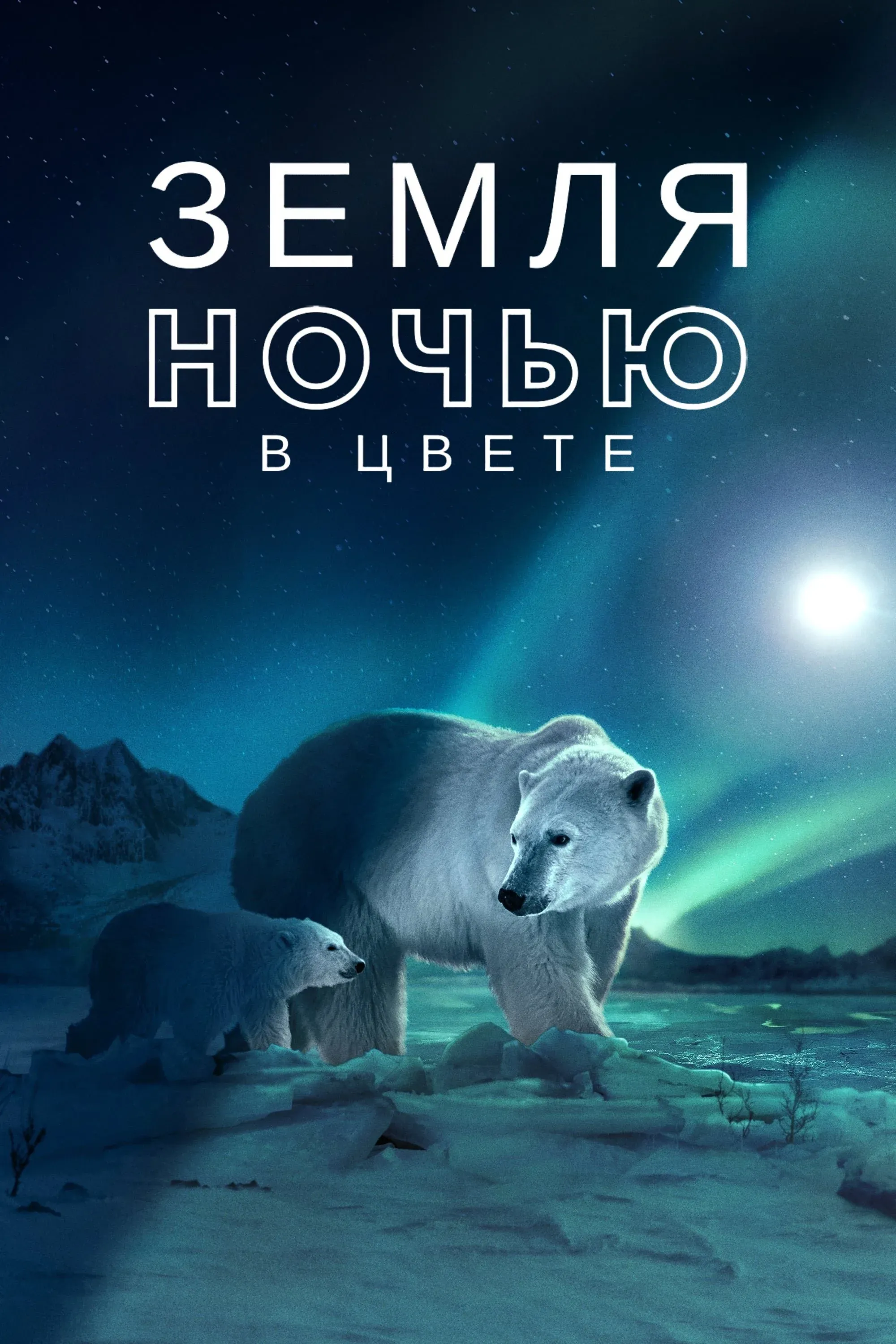 Постер фильма Земля ночью в цвете