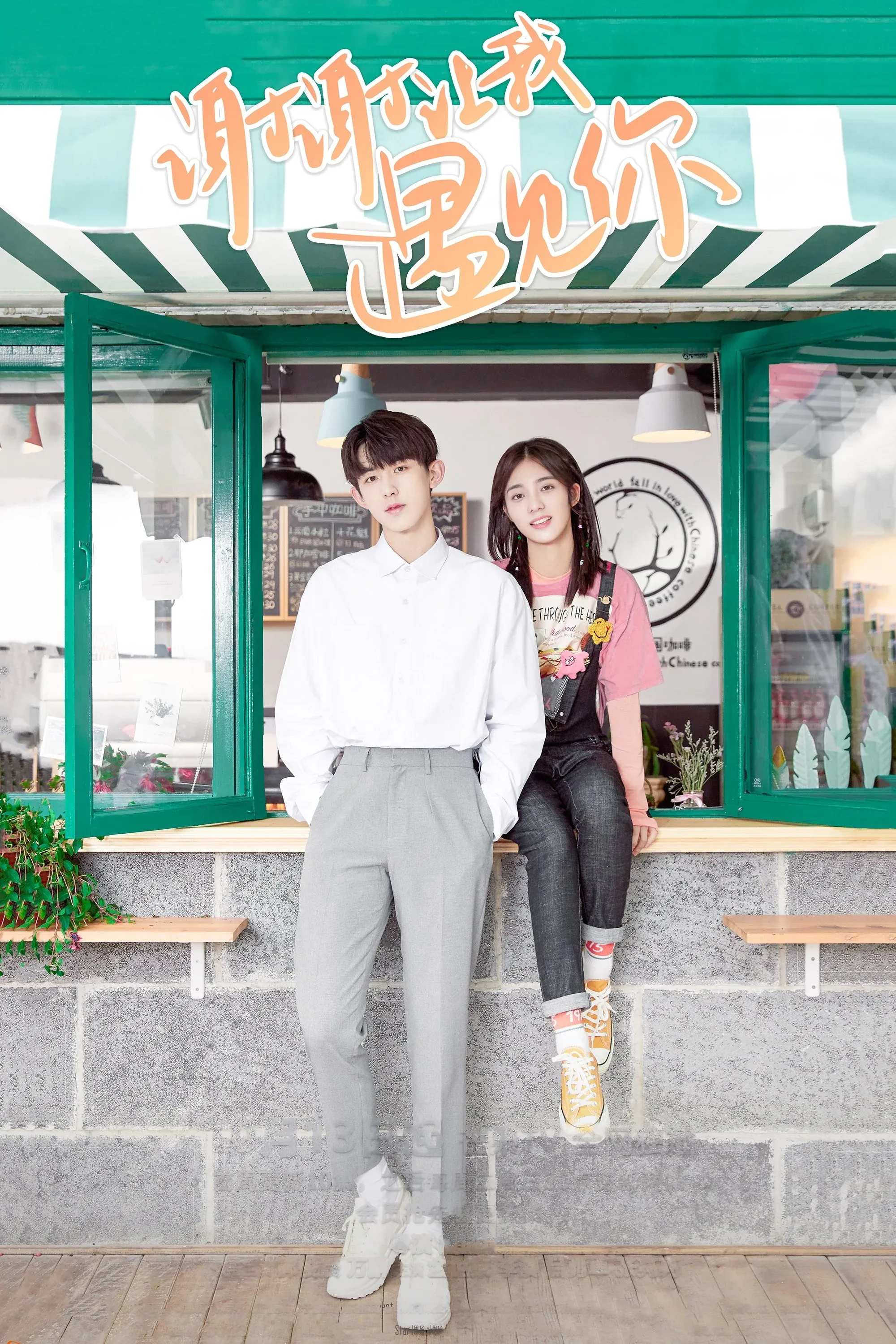 Постер фильма Встретить тебя