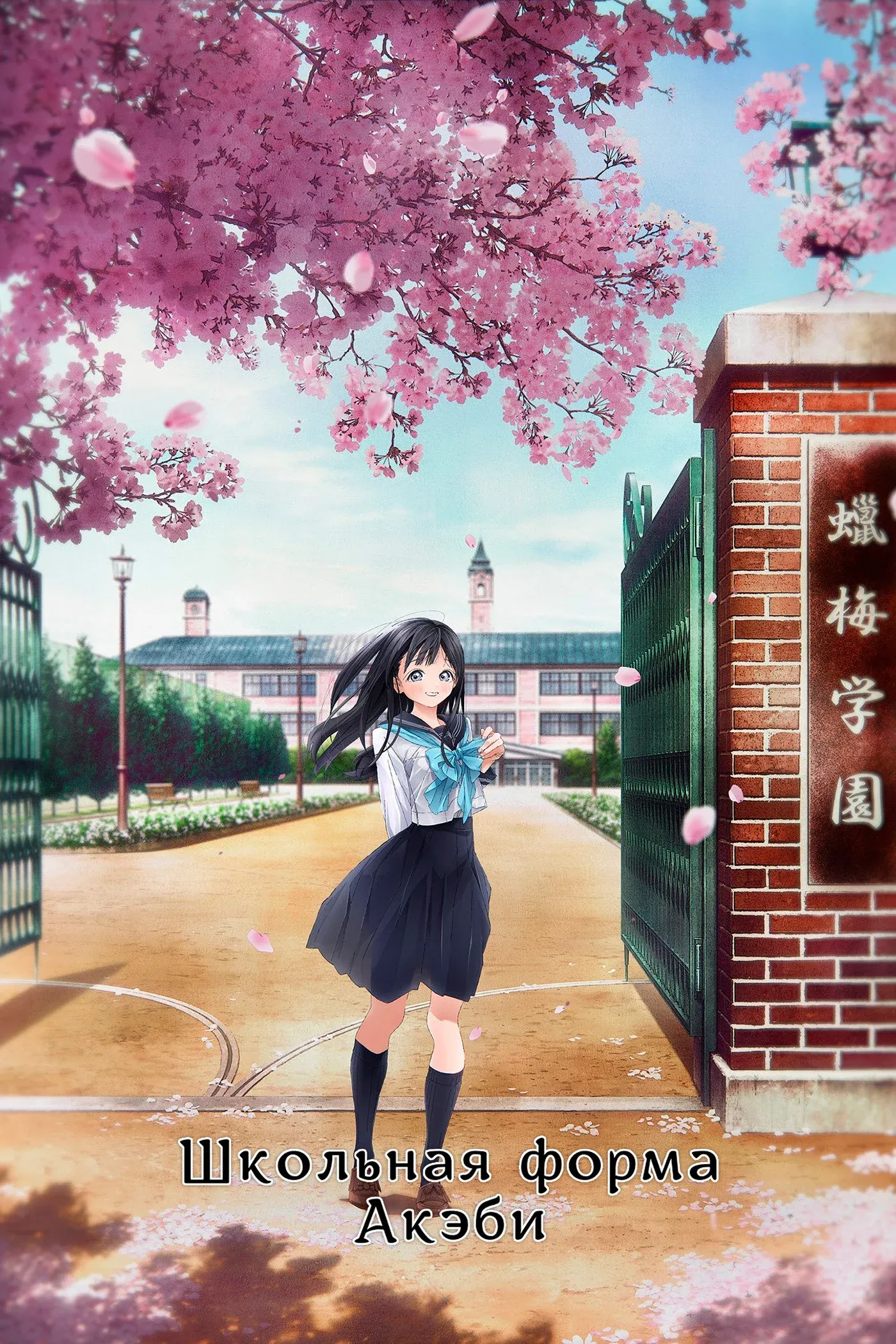 Постер фильма Школьная форма Акэби