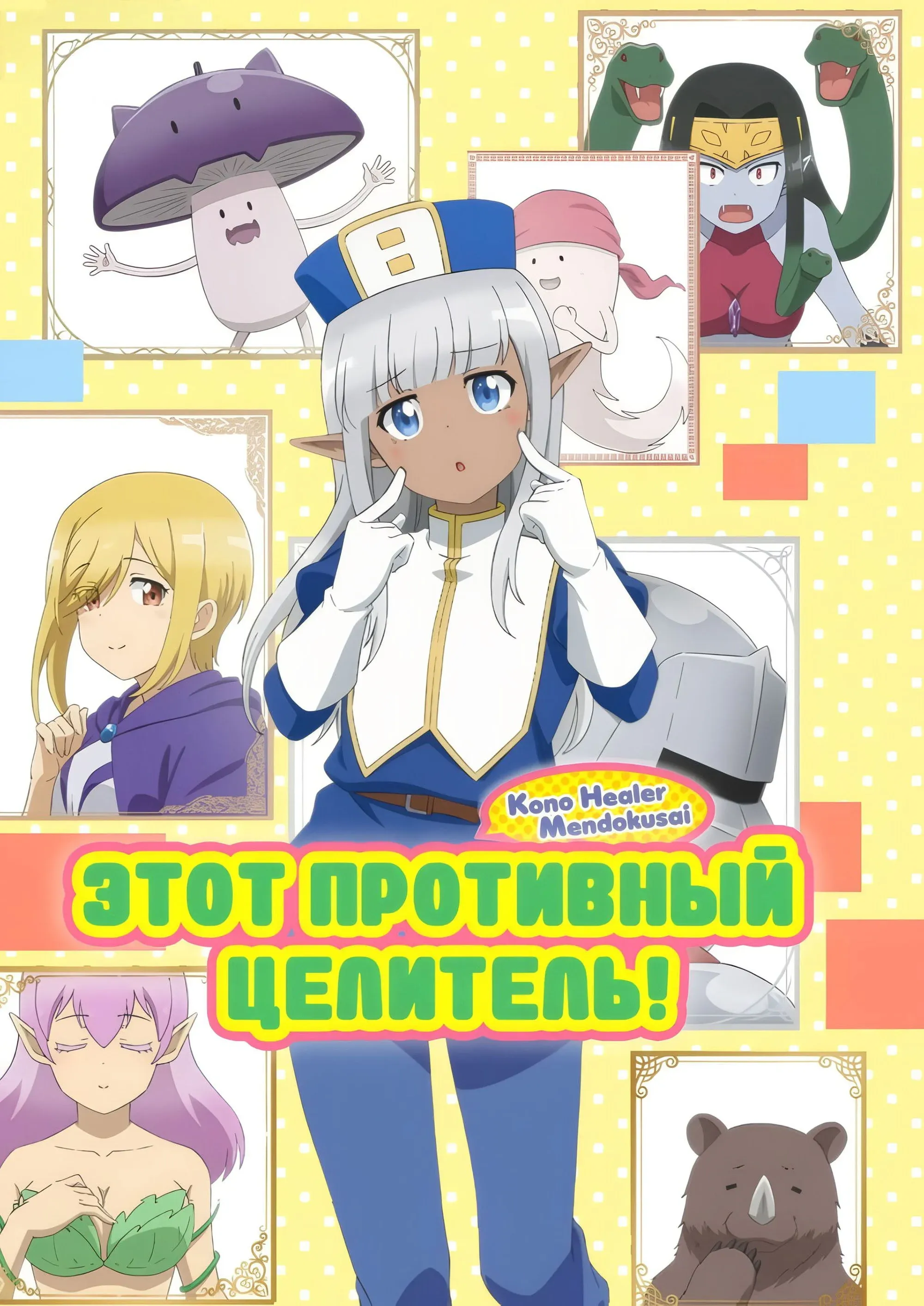 Постер фильма Этот противный целитель!