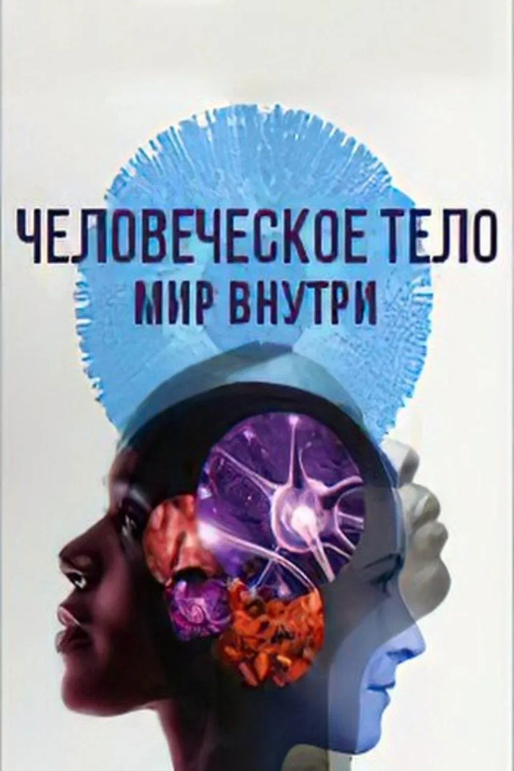 Постер фильма Человеческое тело: мир внутри