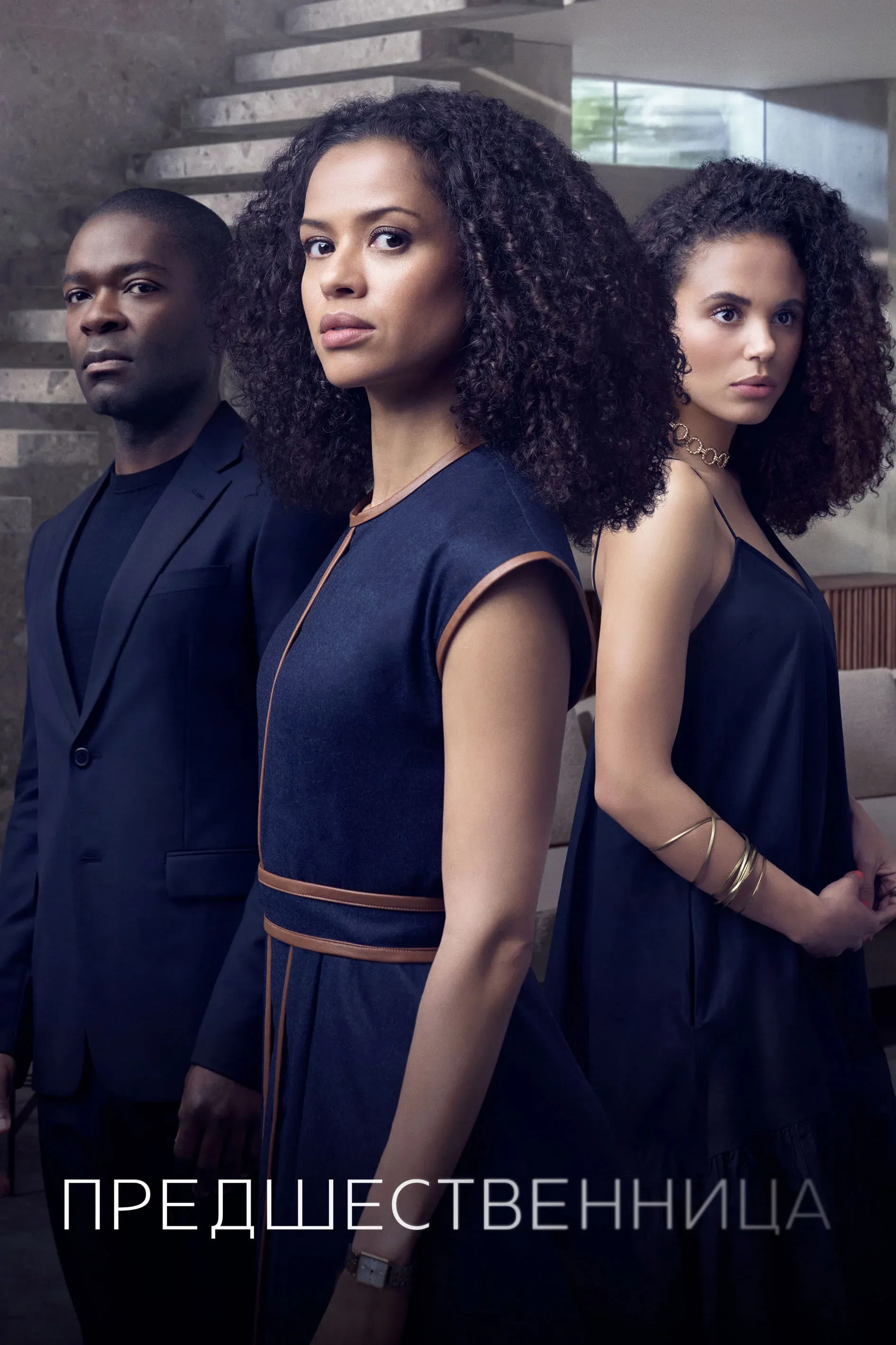 Постер фильма Предшественница