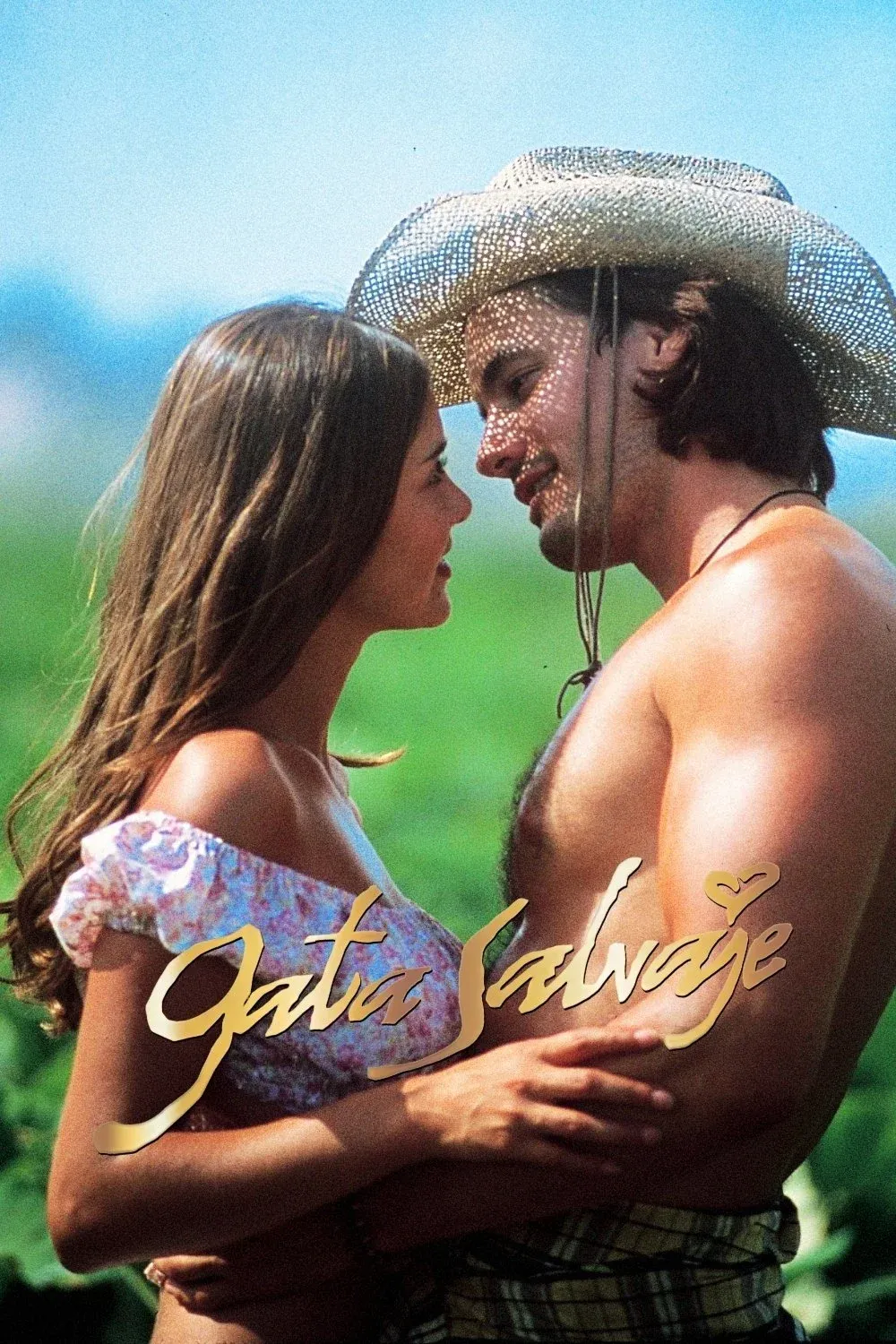 Постер фильма Дикая кошка