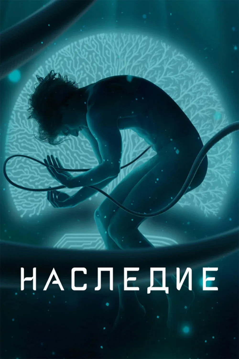 Постер фильма Наследие