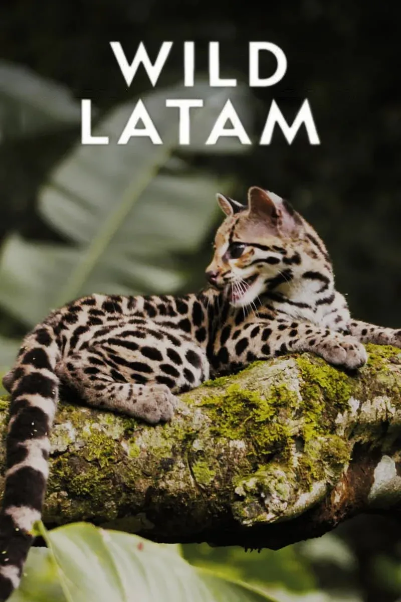 Постер фильма Дикая Латинская Америка