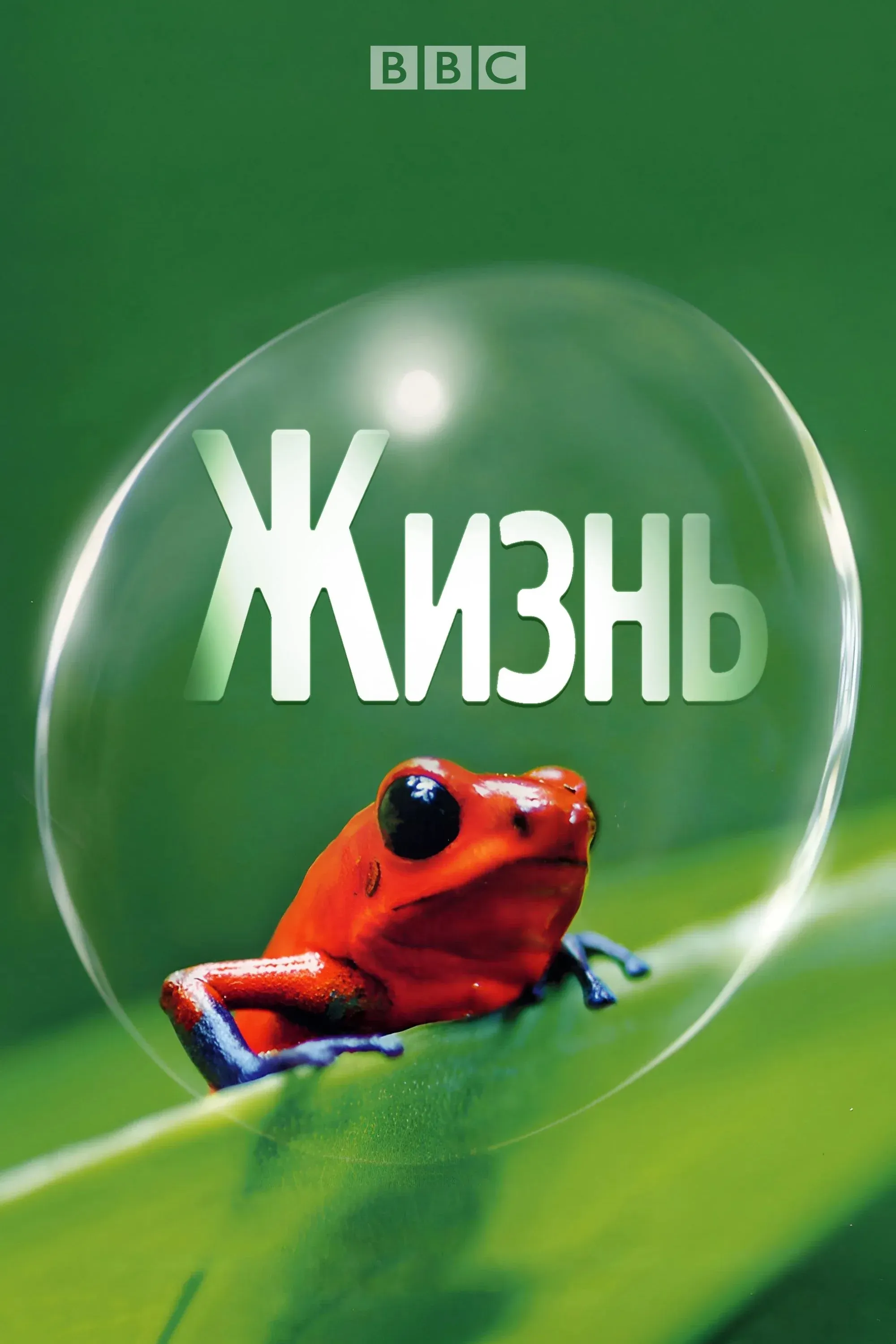 Постер фильма Жизнь