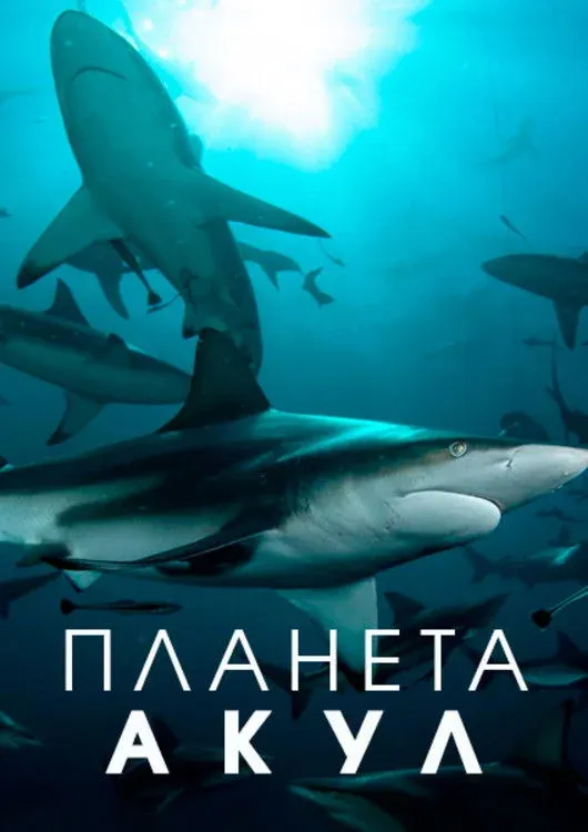 Постер фильма Планета акул