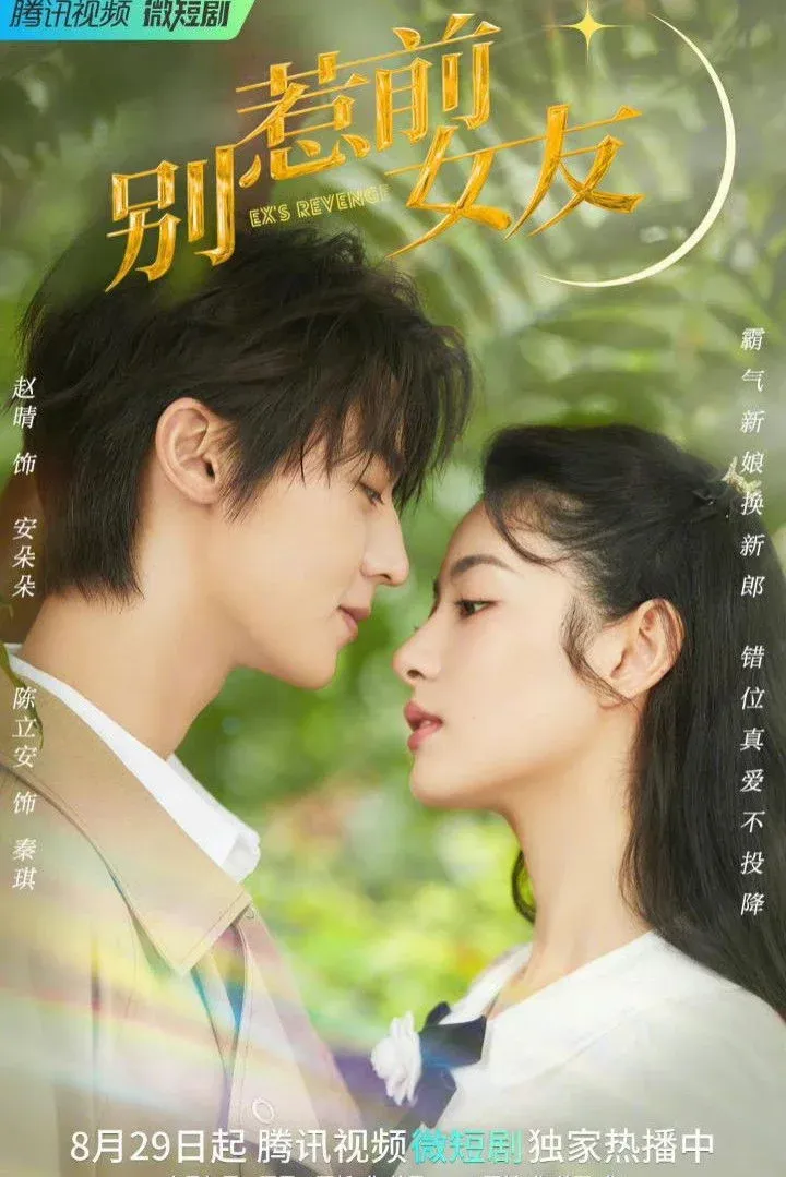 Постер фильма Месть бывшей