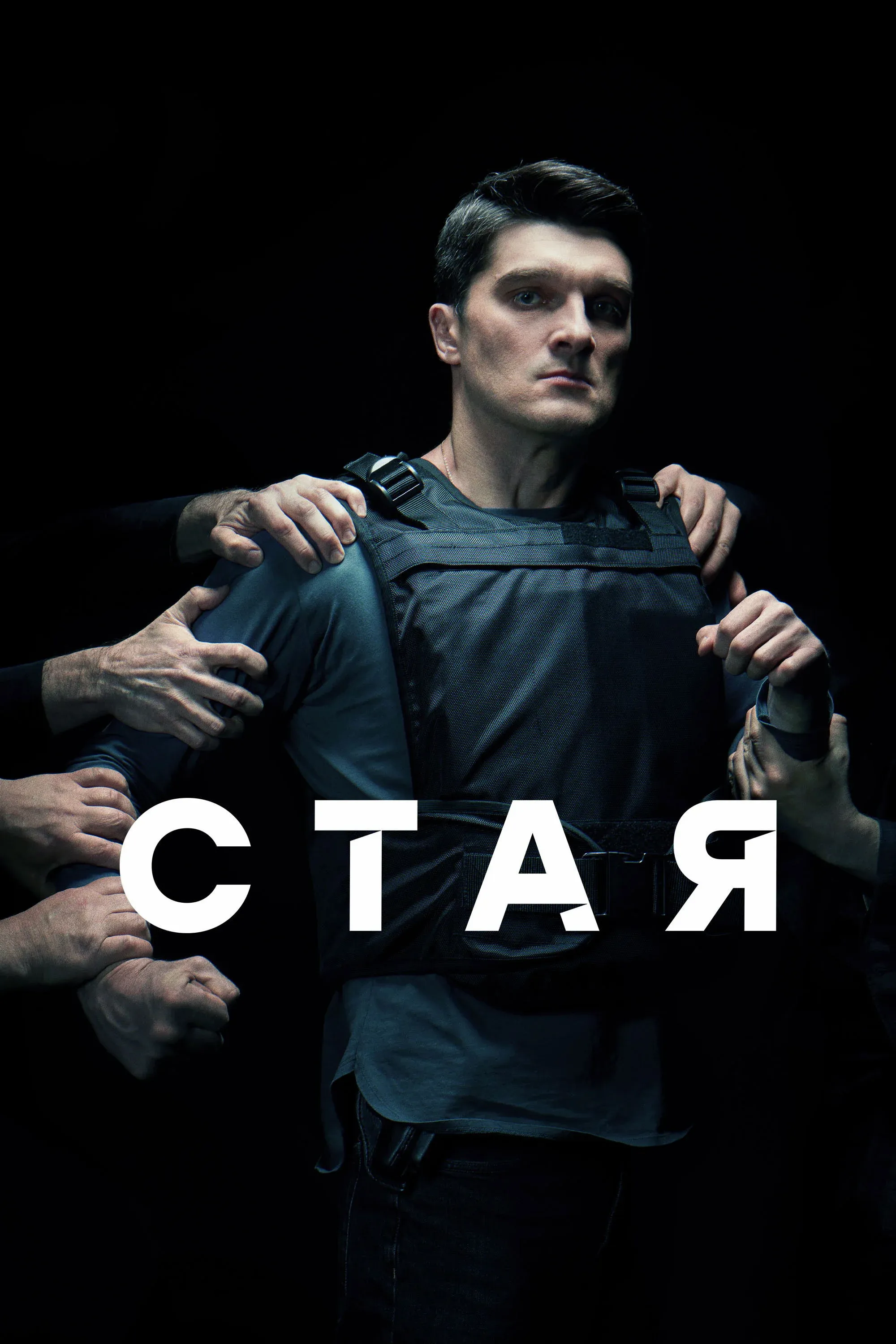 Постер фильма Стая